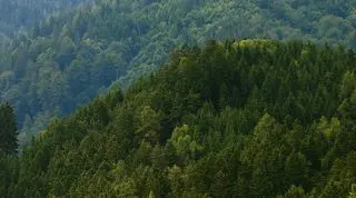 Listing Card Formula-1 - 2023 - Schedule Austrian Grand Prix