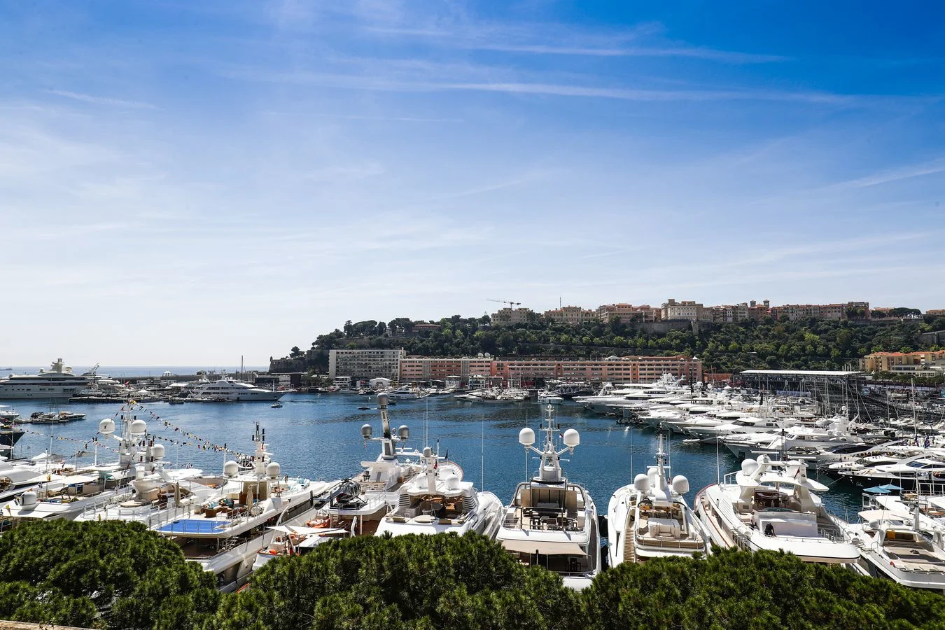 Team - Why-we-love-may