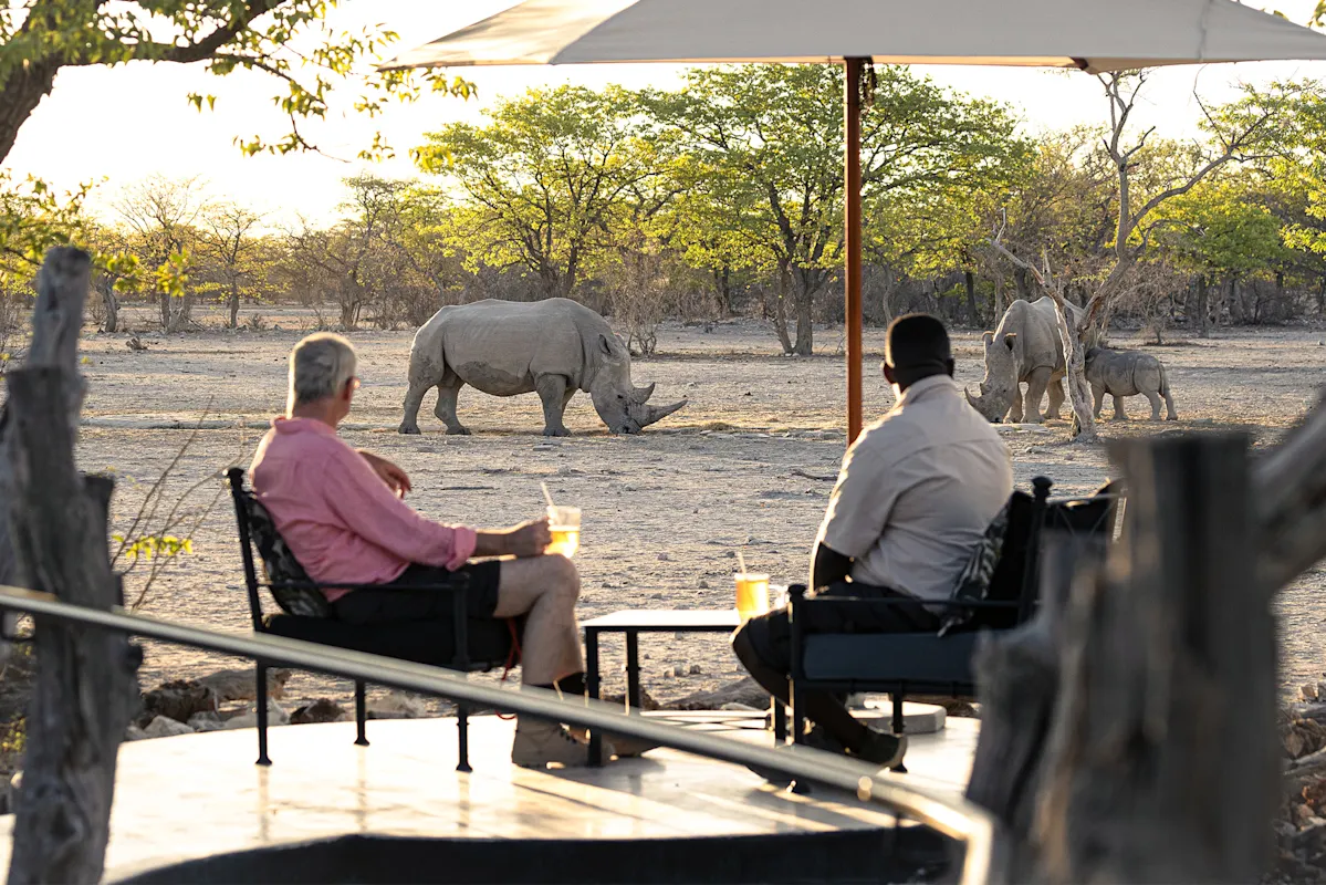 Zwei Personen mit Schirm beobachten drei Nashörner auf Safari.