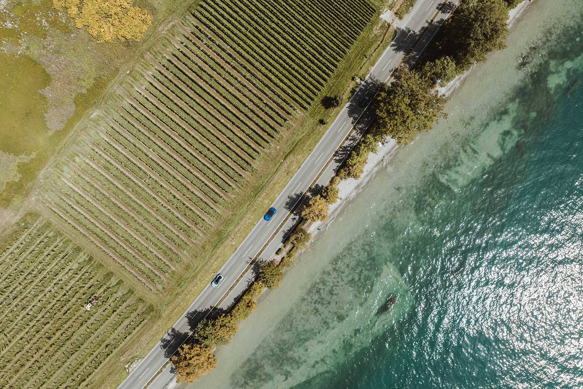 Luftaufnahme einer Straße bei Weinbergen und blauem Wasser mit fahrenden Autos.