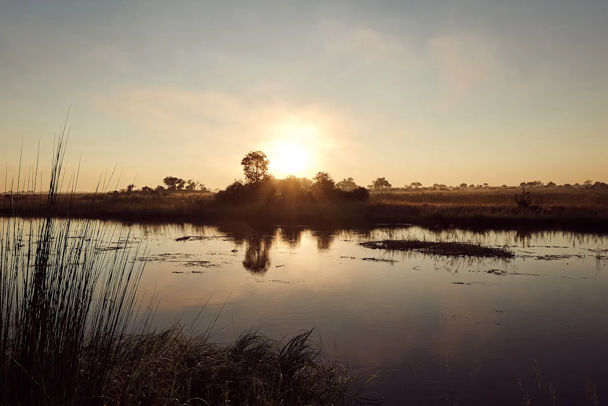 Sonnenaufgang, Bäume und Gräser spiegeln sich im Fluss unter klarem Himmel.