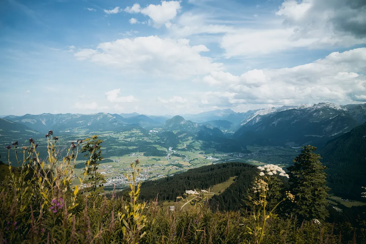 Wildblumen mit Blick auf ein grünes Tal, Dörfer und Berge.