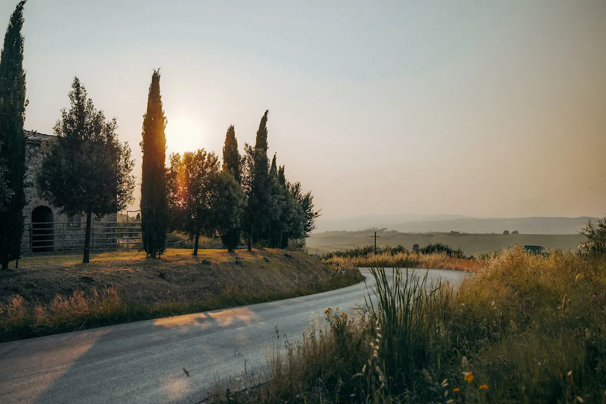 Landstraße bei Sonnenuntergang mit Bäumen, Feldern und Hügeln.