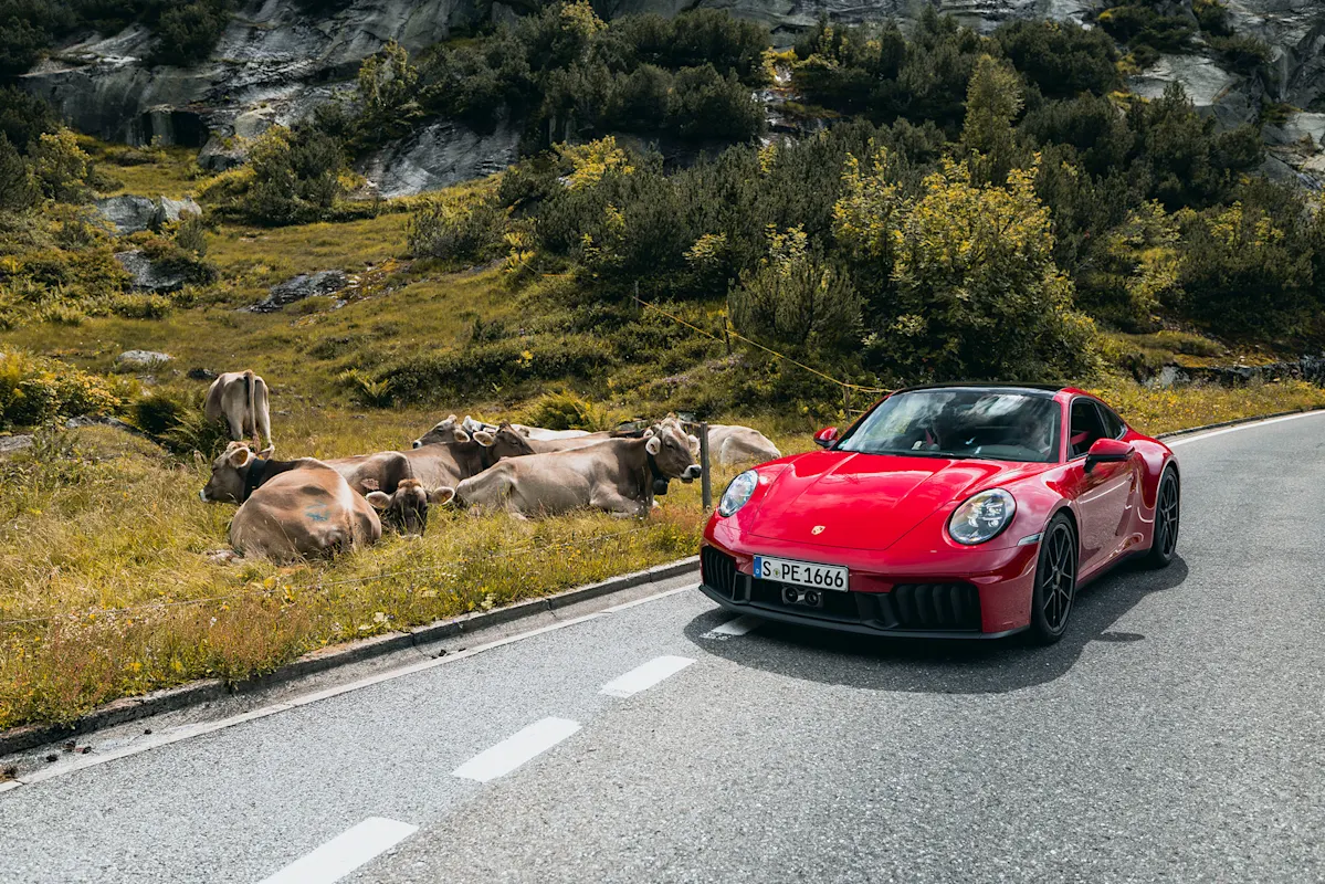 Roter Porsche fährt an Kühen auf Bergstraße mit Grün vorbei.