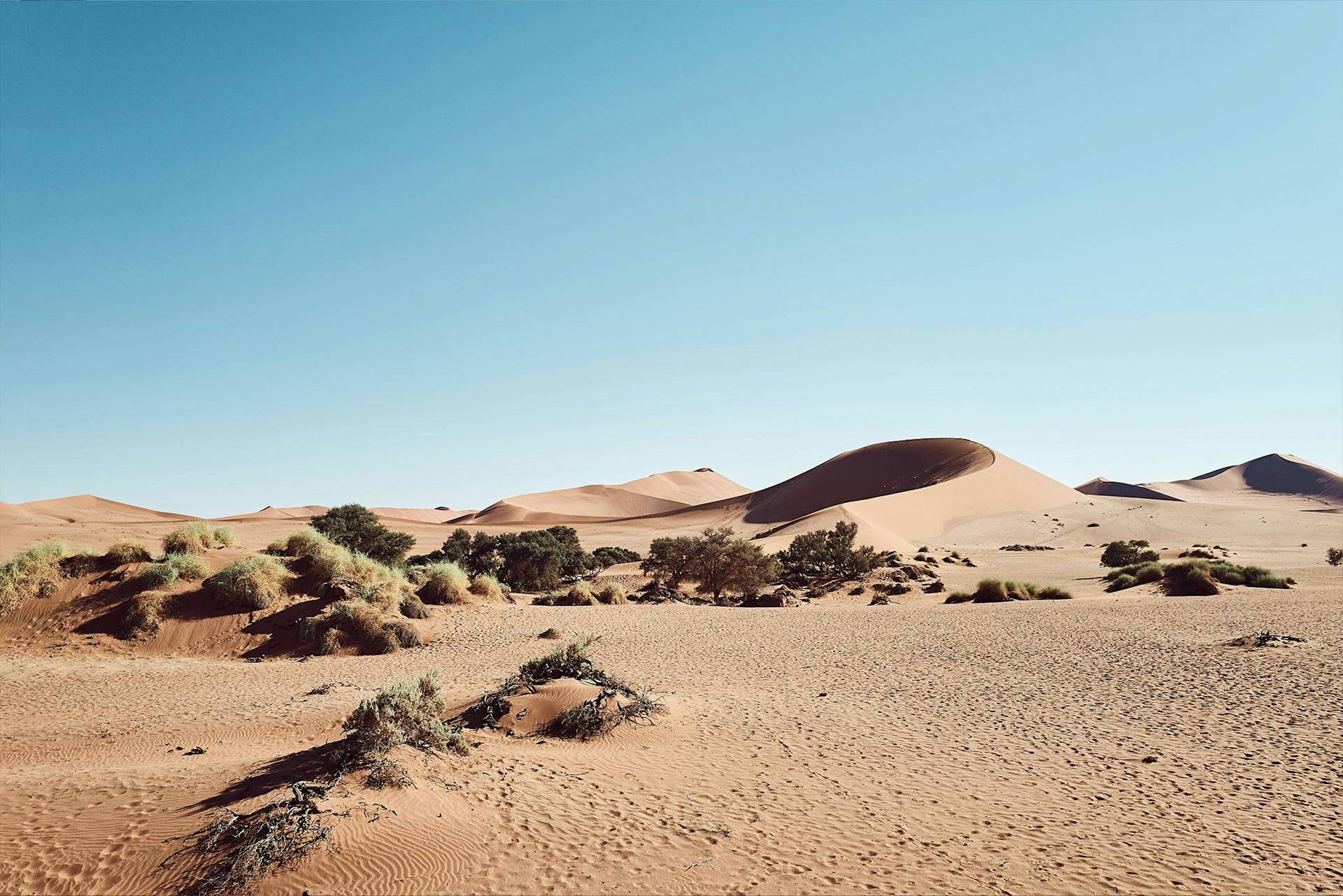 Wüstenlandschaft mit Sanddünen und spärlicher Vegetation unter einem blauen Himmel.