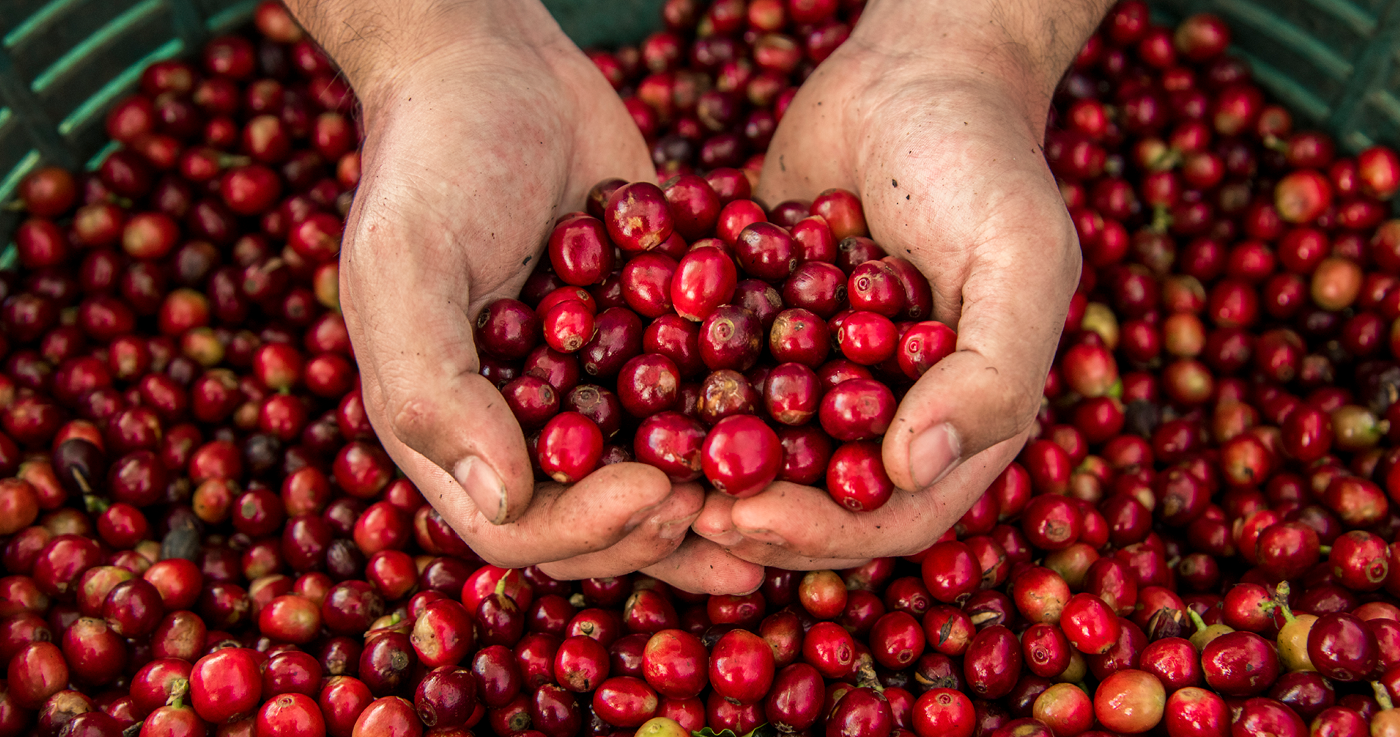 Bes tot bakkie Blogpost Groot