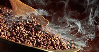 Verschil tussen Arabica en Robusta koffiebonen Blogpost Klein