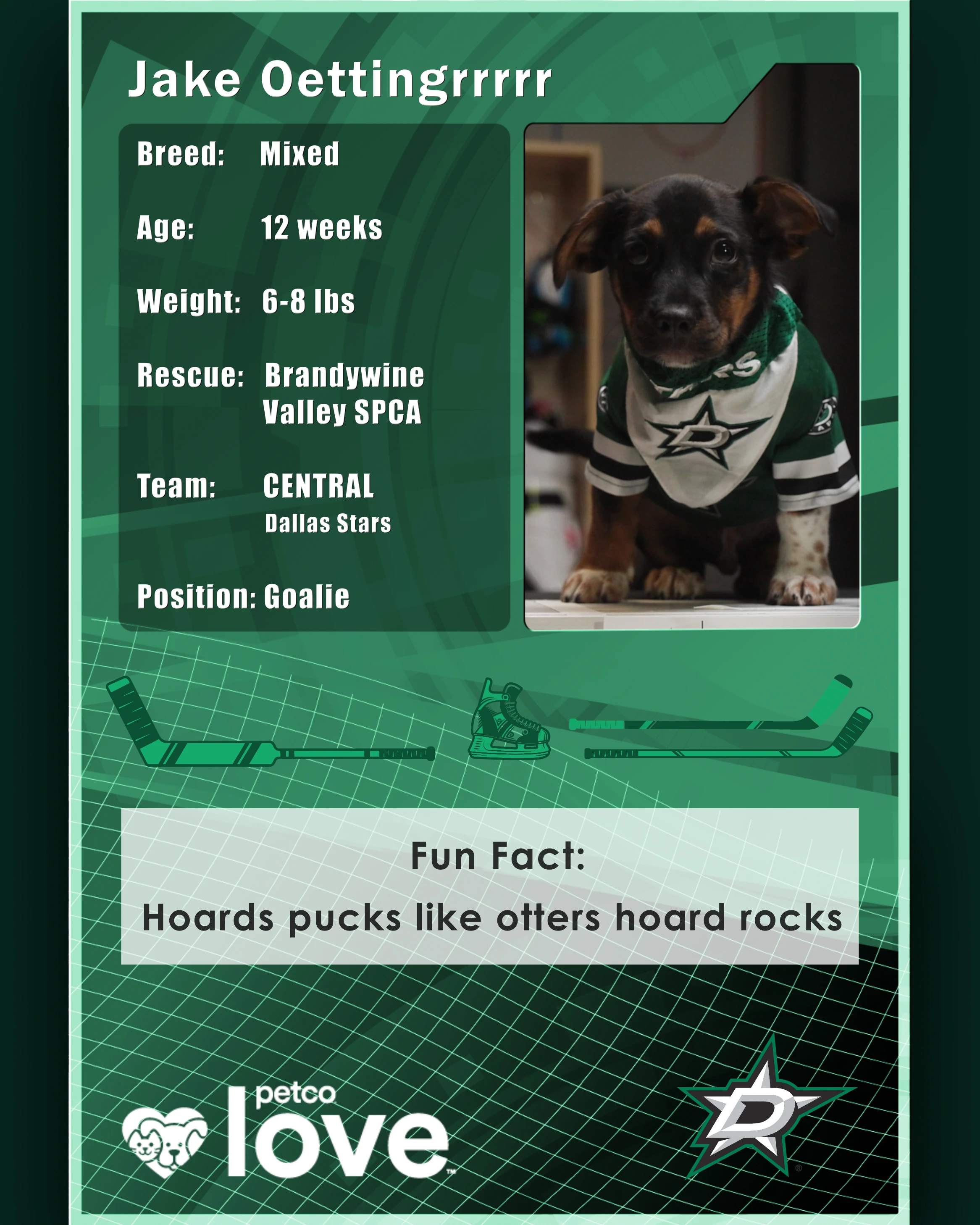 Stanley Pup Pepper aka Jake Oettingrrrrr player card back
