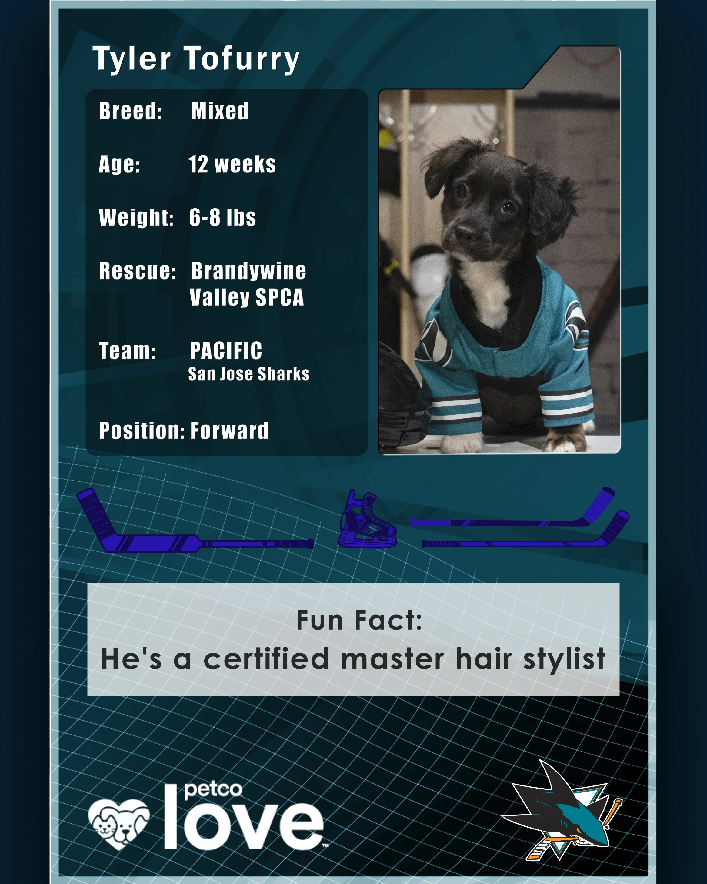 Stanley Pup Piper aka Tyler Tofurry player card back