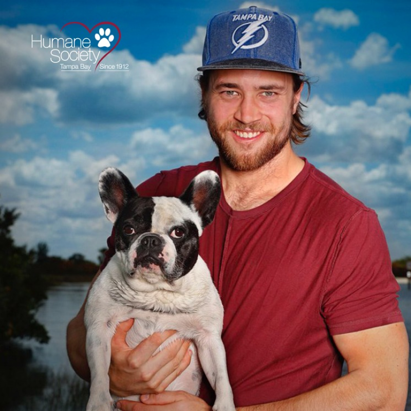 Stanley Pup Victor Hedman's Teammate