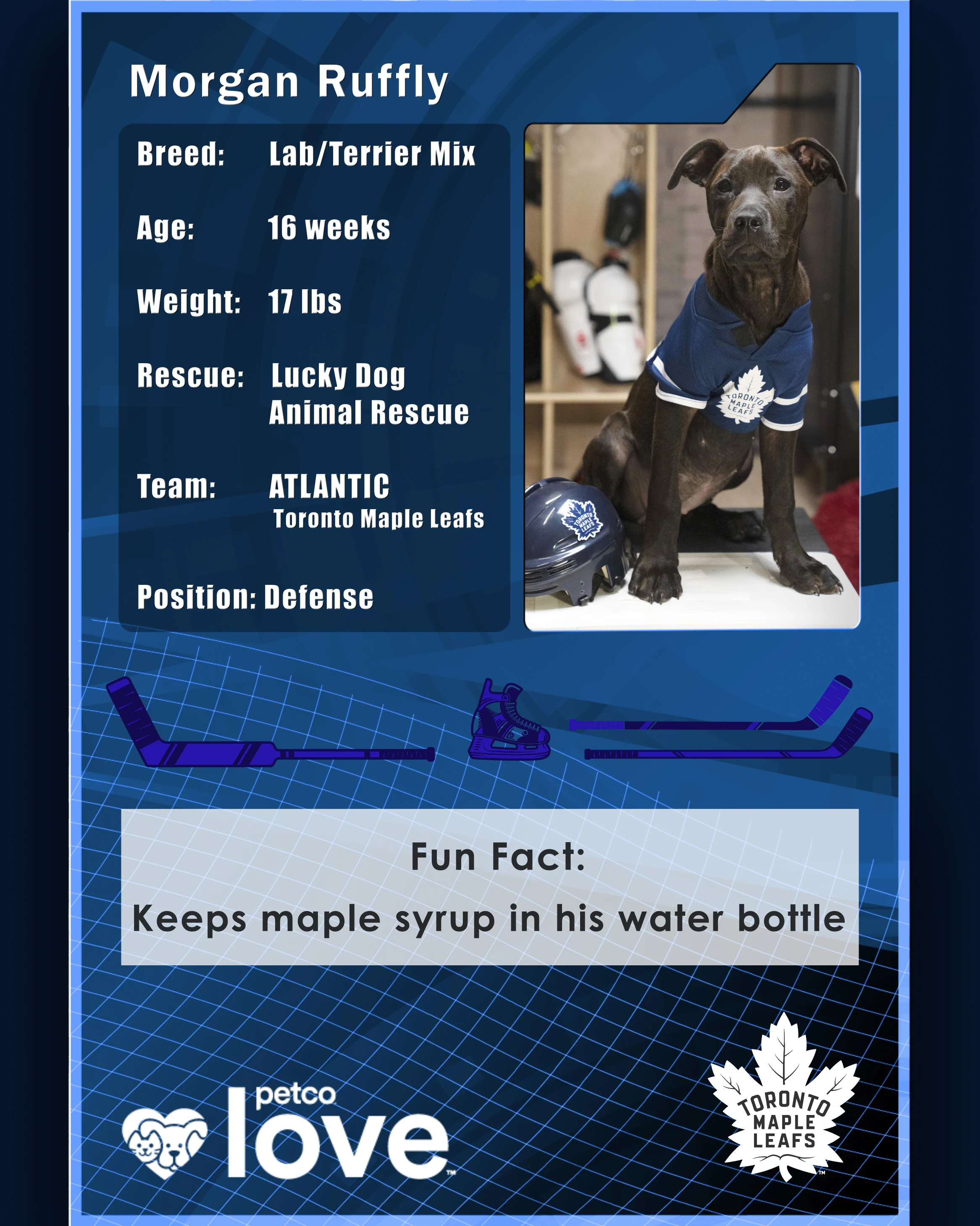 Stanley Pup Wiggles AKA Morgan Ruffly player card back