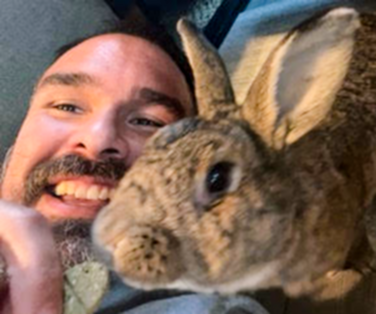 Mathio Rabbit The Adopted Bunny Who Played Cupid