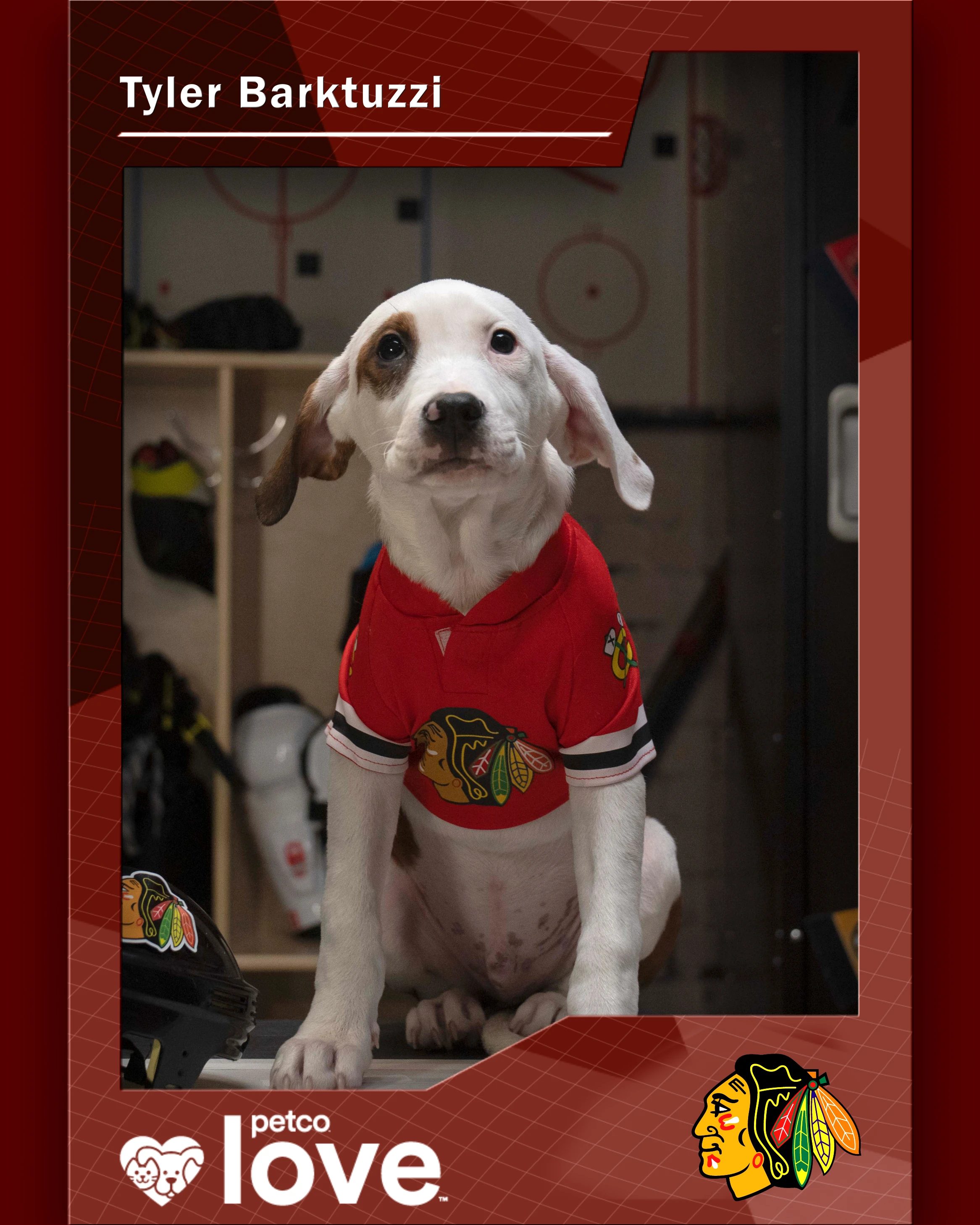 Stanley Pup Bud aka Tyler Barktuzzi player card front