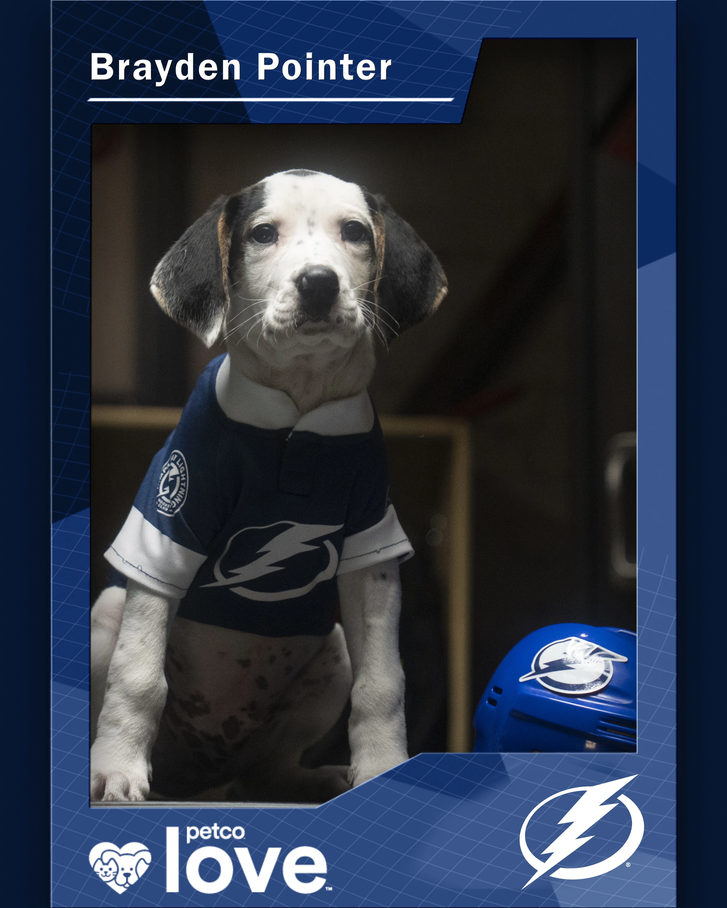 Stanley Pup Speed Dating aka Brayden Pointer player card front