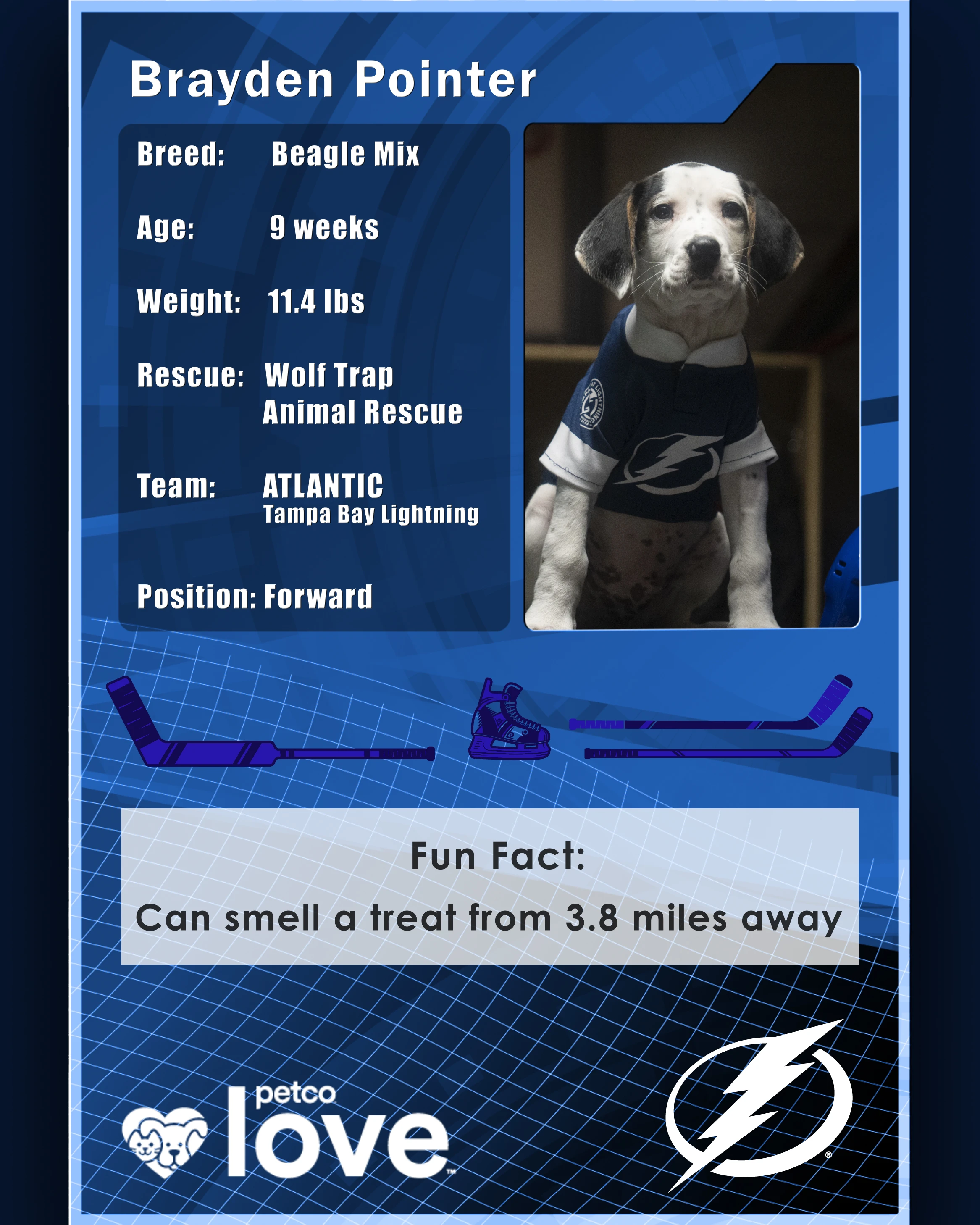 Stanley Pup Speed Dating aka Brayden Pointer player card back