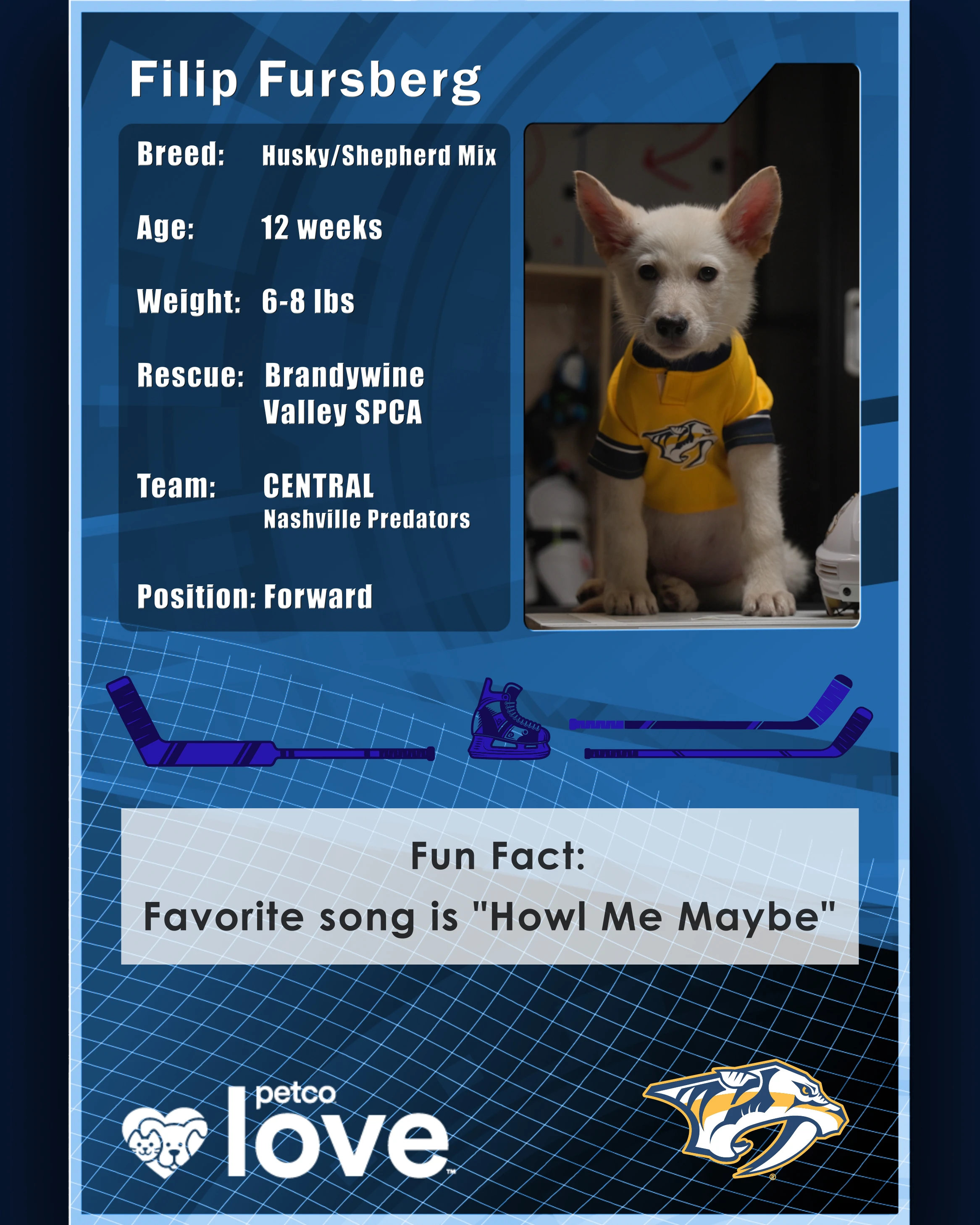 Stanley Pup Montana aka Filip Fursberg player card back