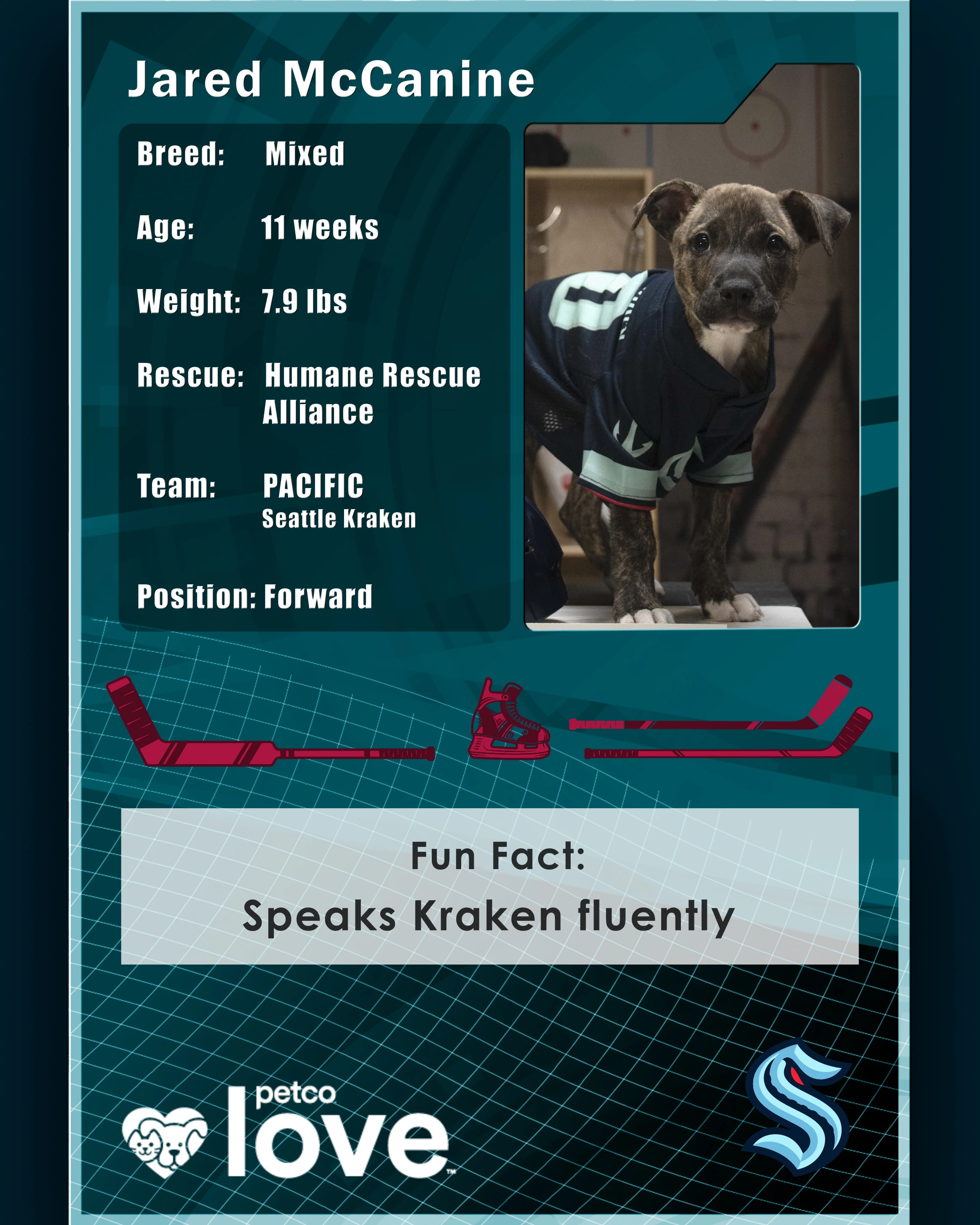 Stanley Pup Top Shelf aka Jared McCanine player card back