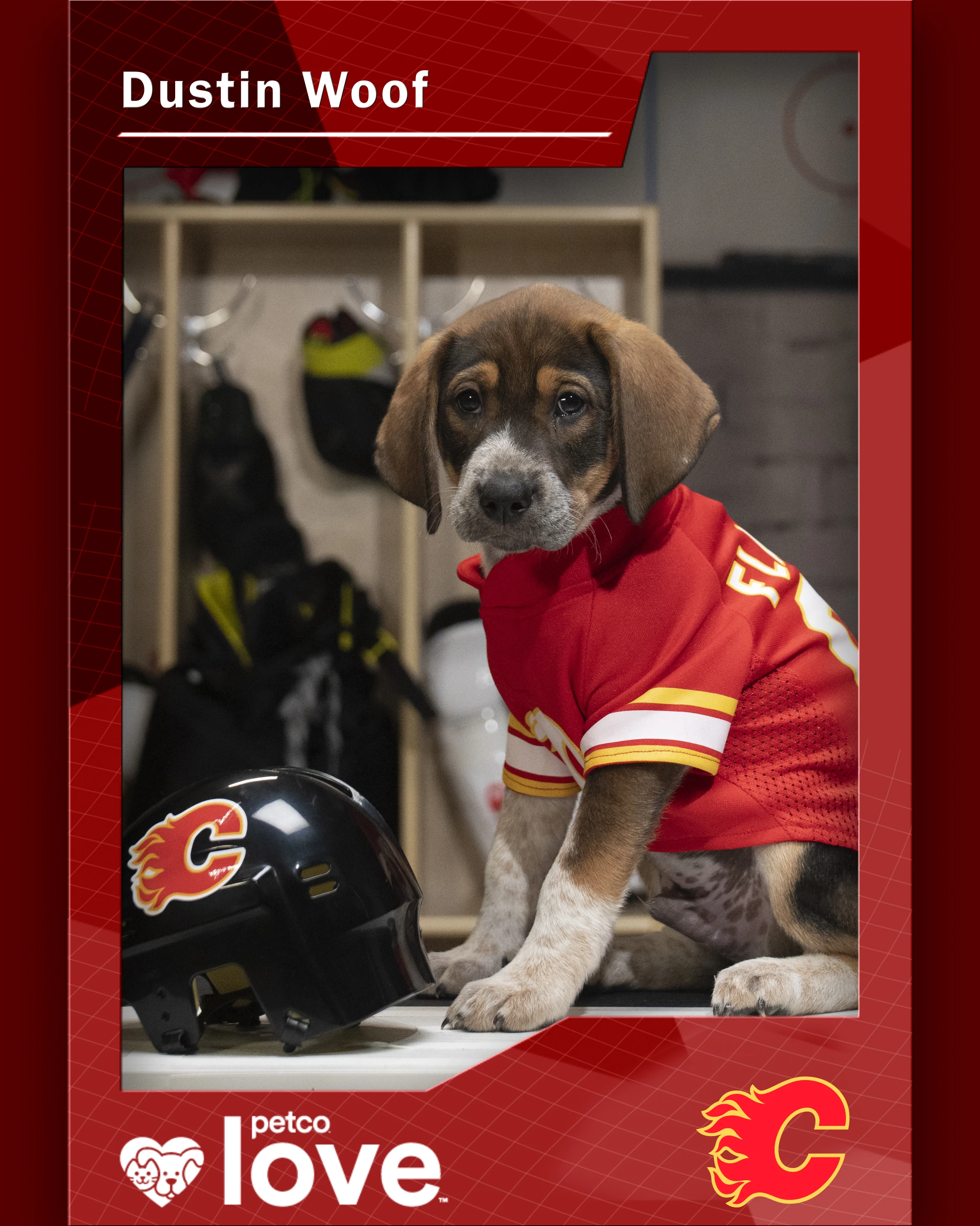Stanley Pup Boomtown AKA Dustin Woof player card front