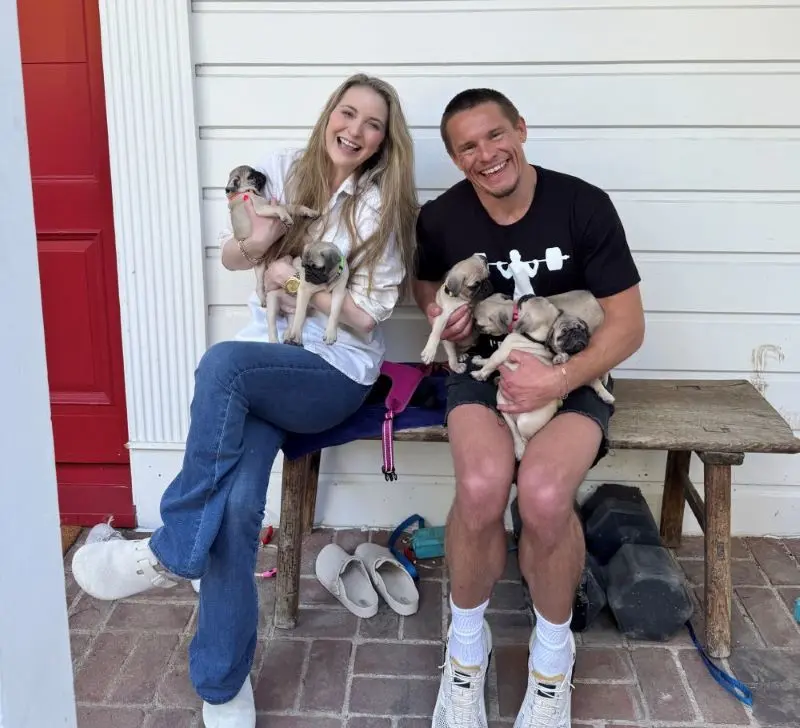 Foster a Pet release 2025