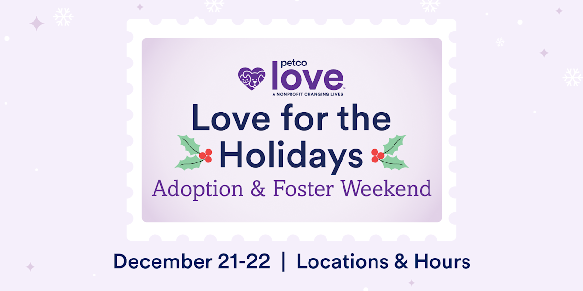 Love for the Holidays Adoption & Foster Weekend | Austin, TX Locations ...