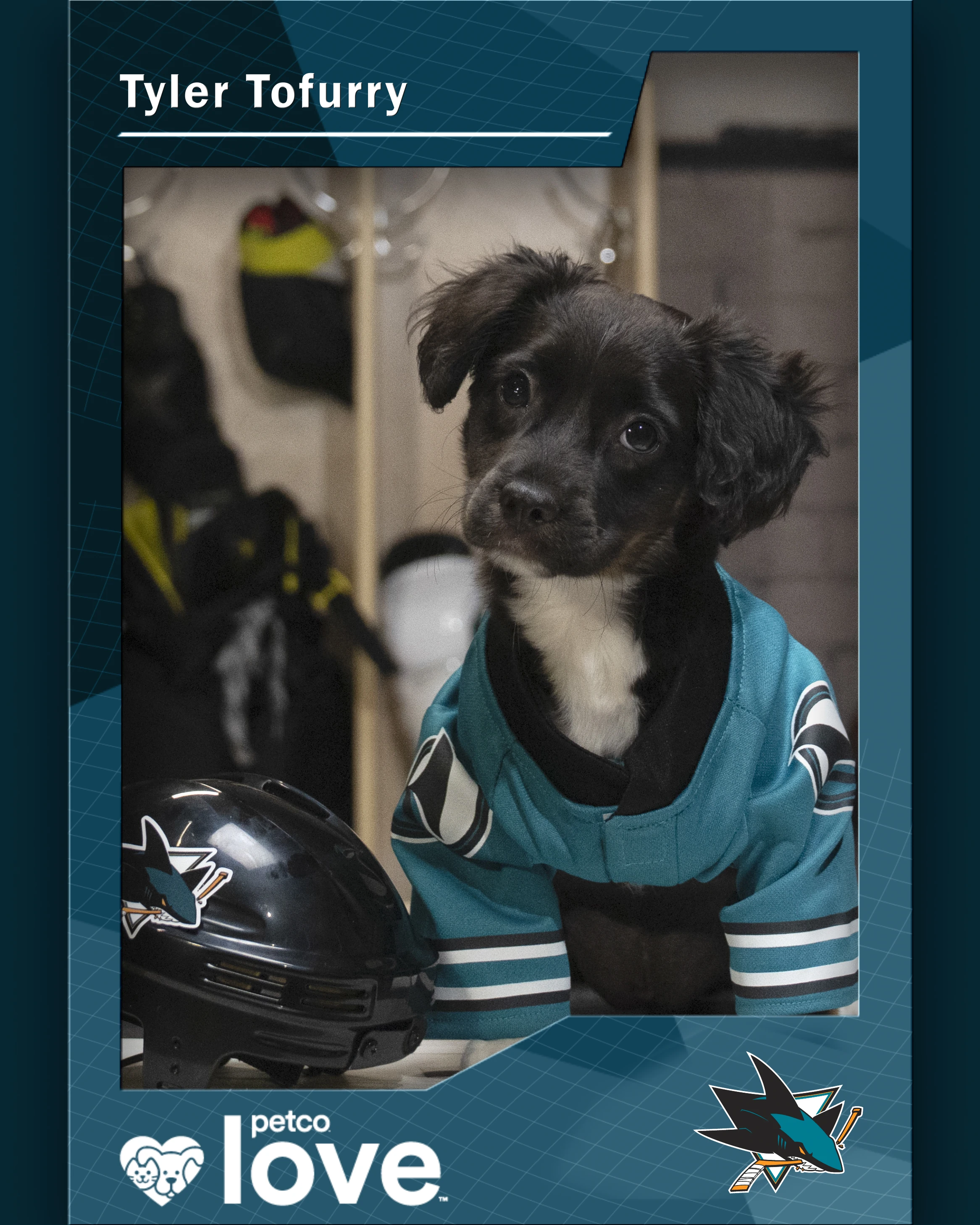 Stanley Pup Piper aka Tyler Tofurry player card front