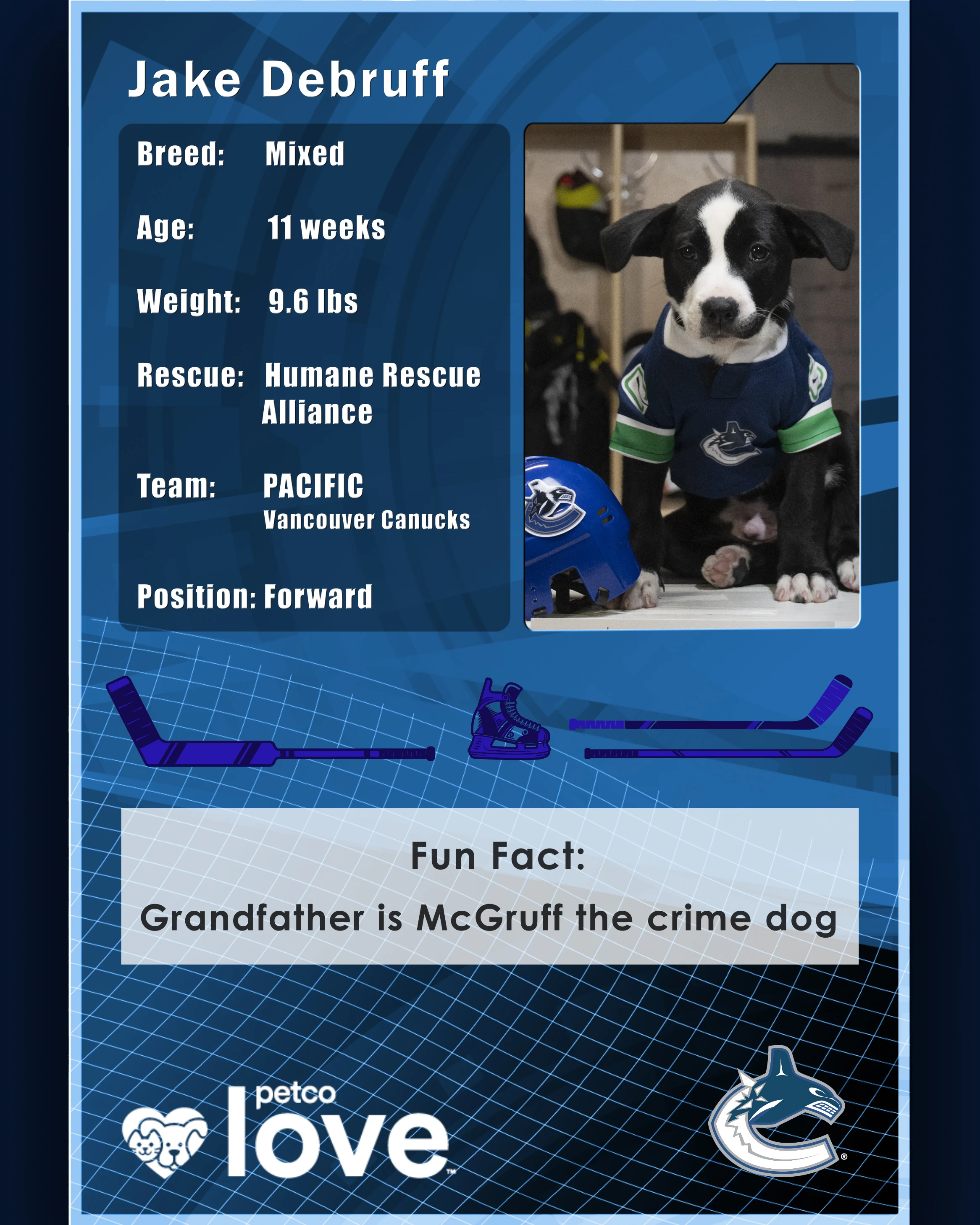 Stanley Pup Handshake aka Jake Debruff player card back
