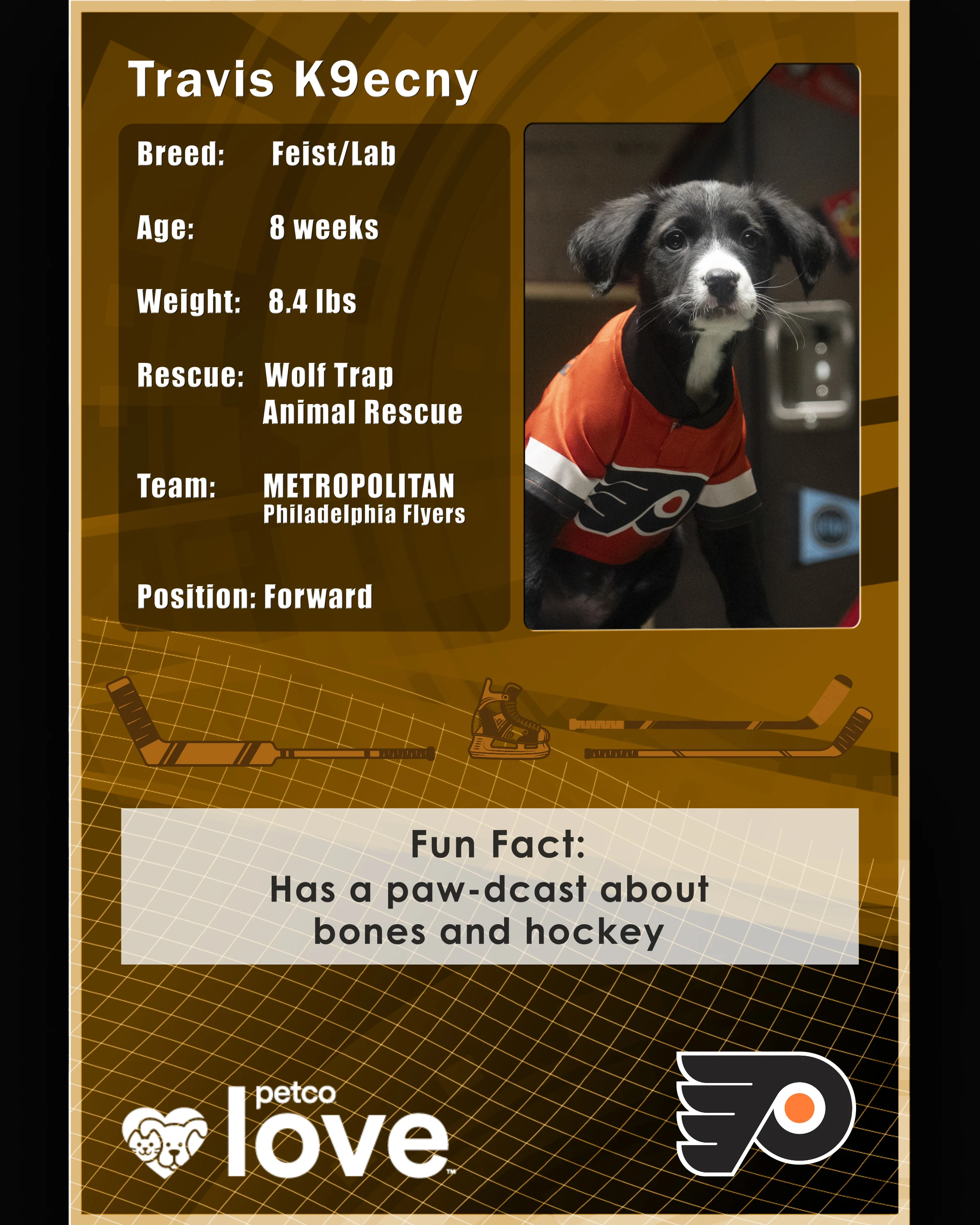 Stanley Pup Magic Tree House aka Travis K9ecny player card back