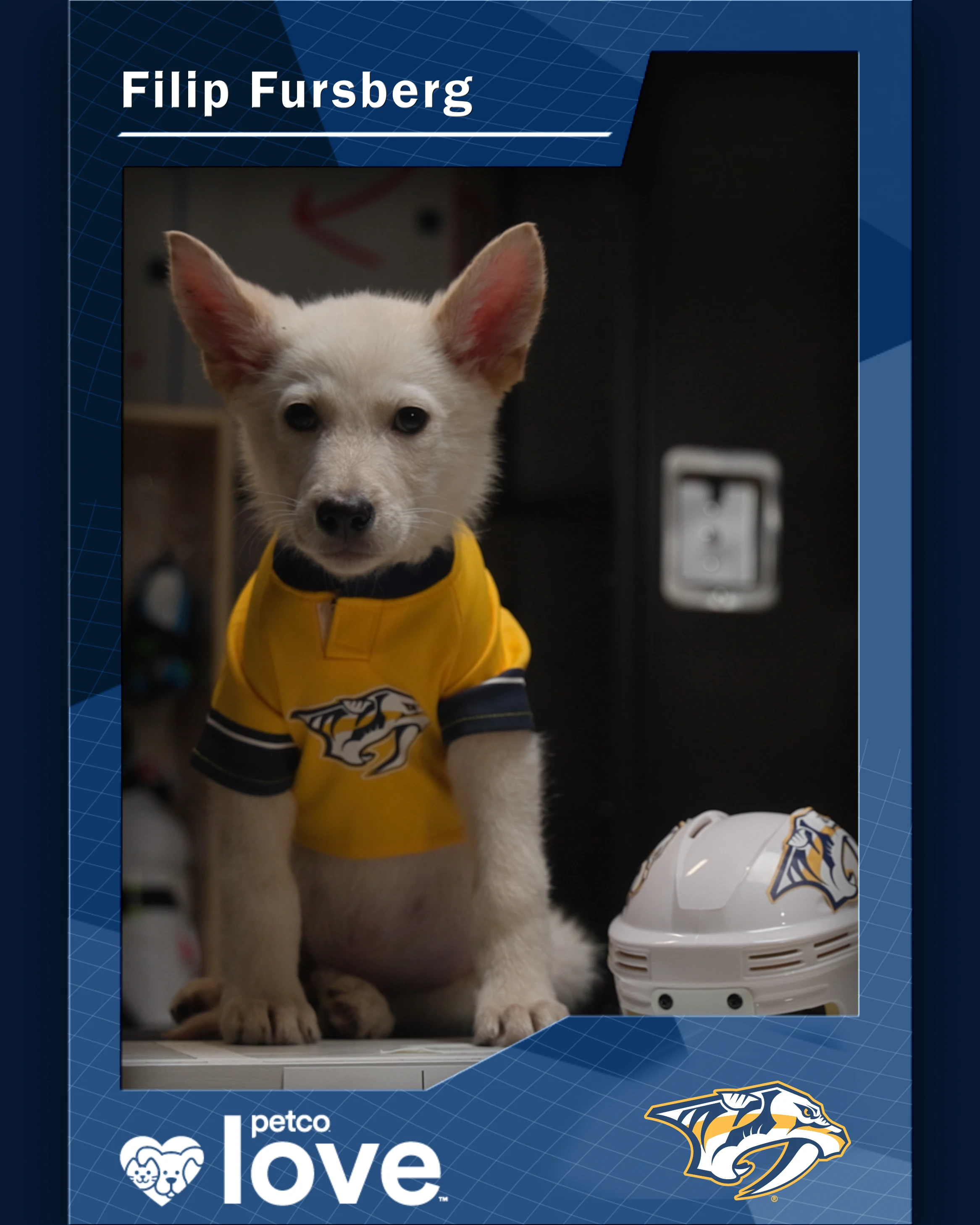 Stanley Pup Montana aka Filip Fursberg player card front