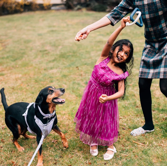 Our Impact On Pet Care, Welfare & Adoption Petco Love