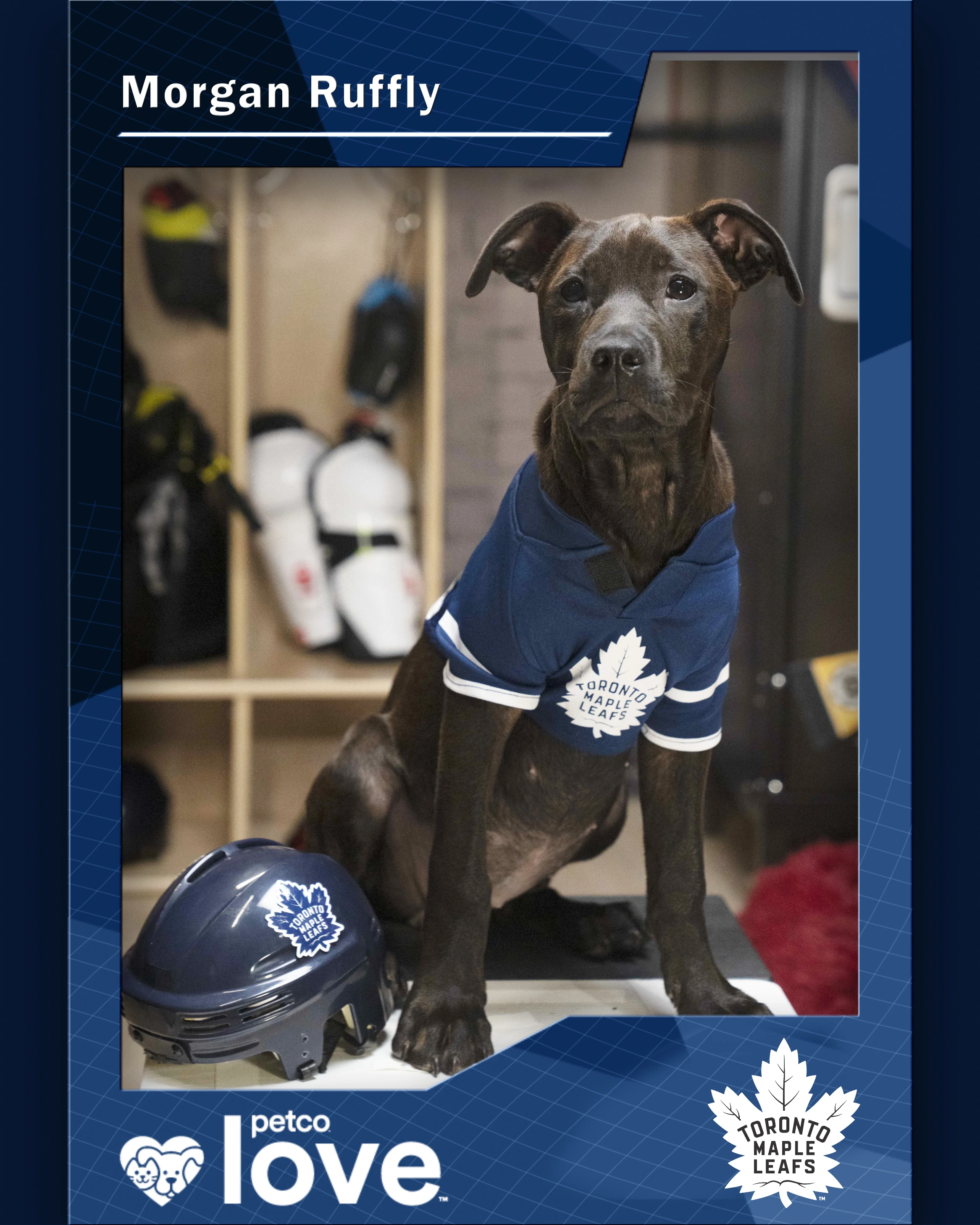 Stanley Pup Wiggles AKA Morgan Ruffly player card front