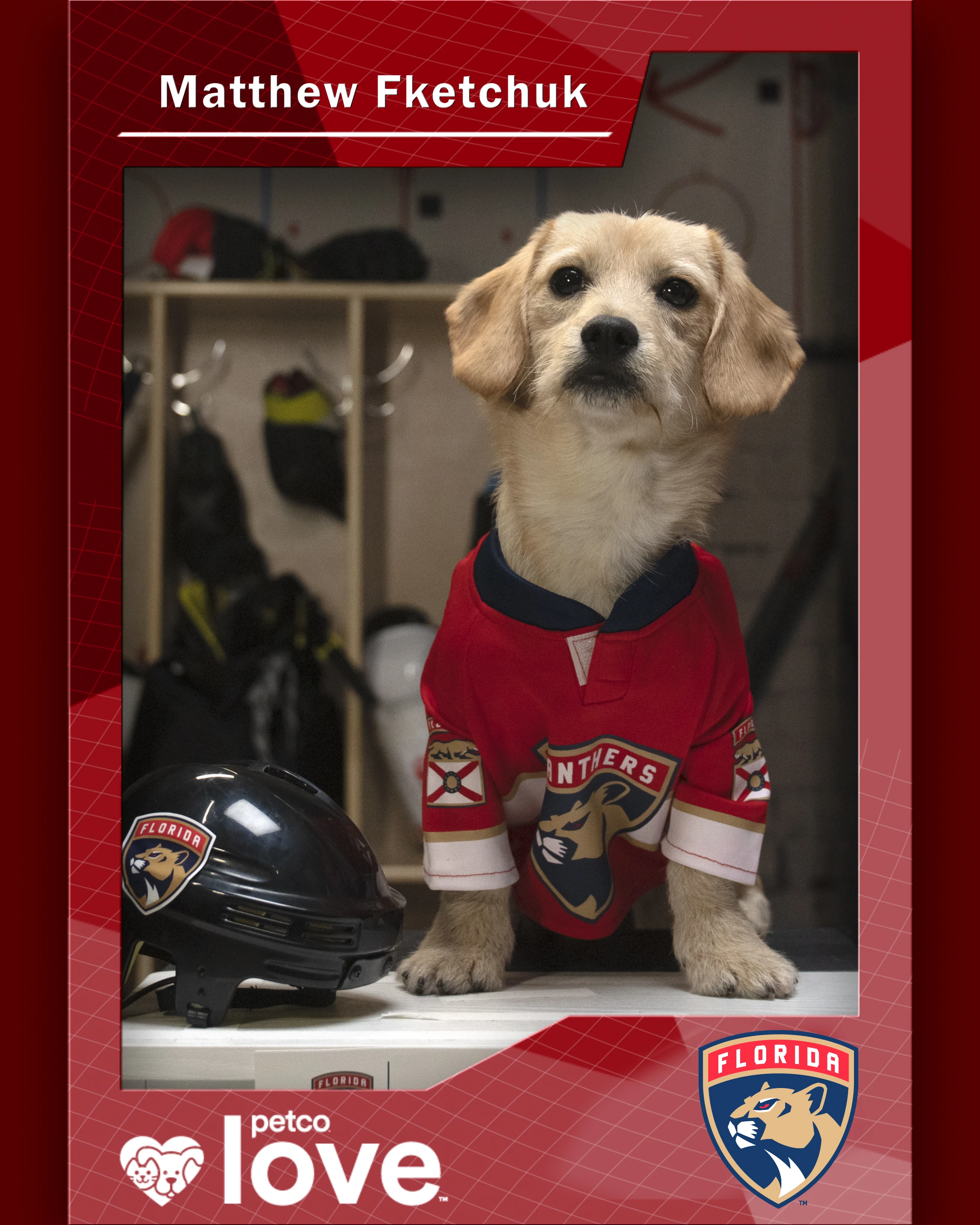 Stanley Pup Macchiato aka Matthew Fketchuk player card front