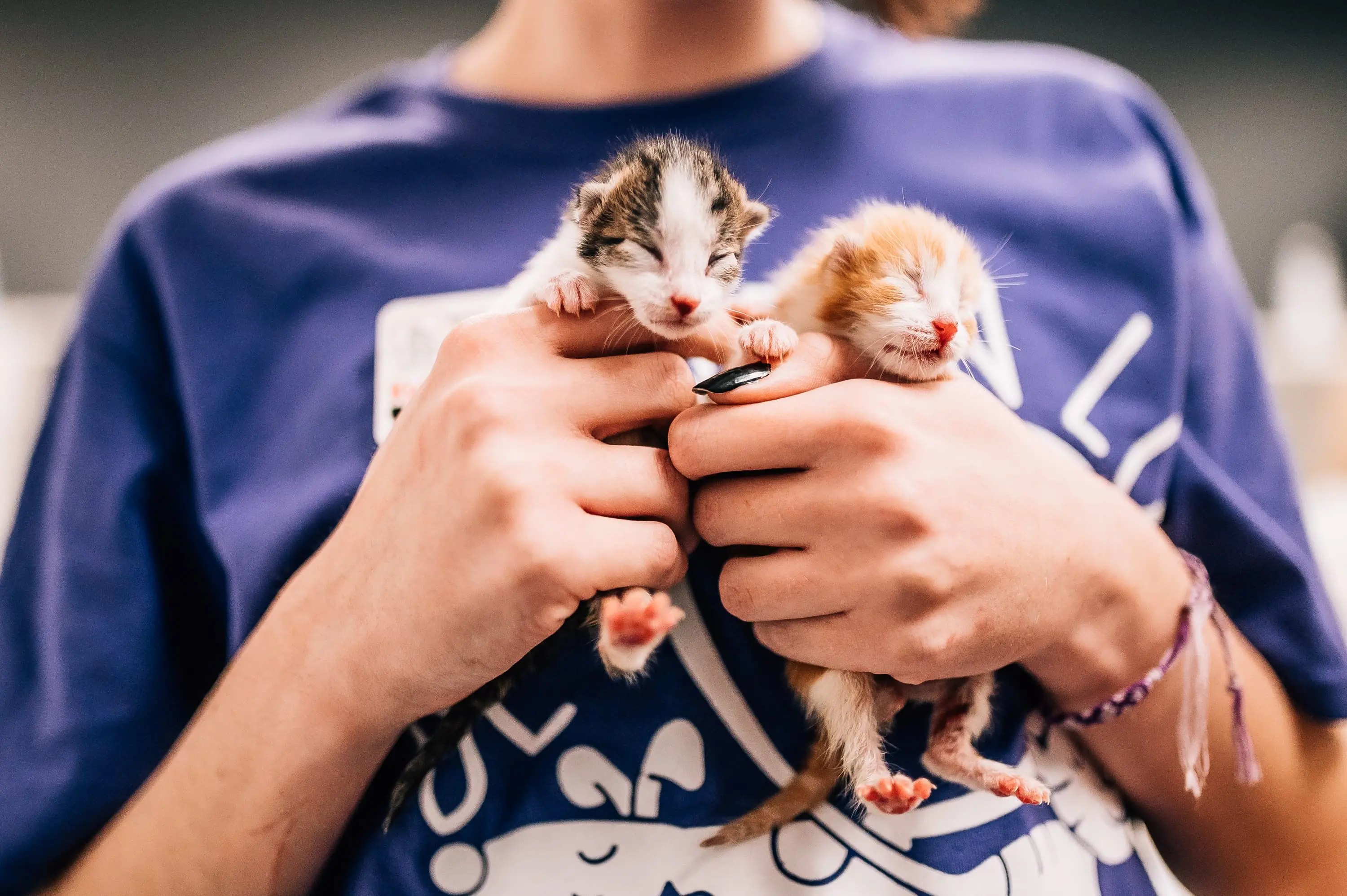 Shelter Photo Neonatals