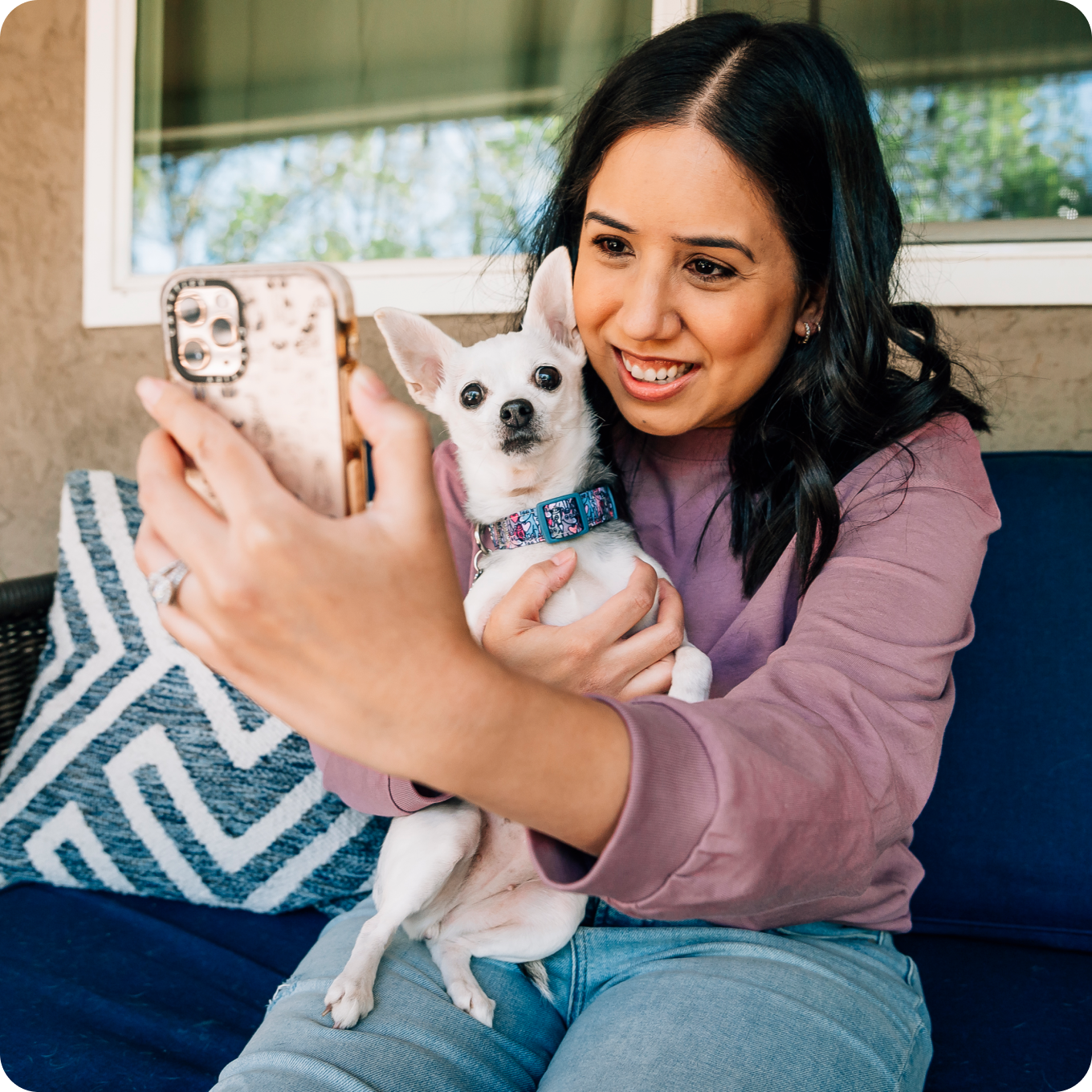 Image of Petco Love Lost