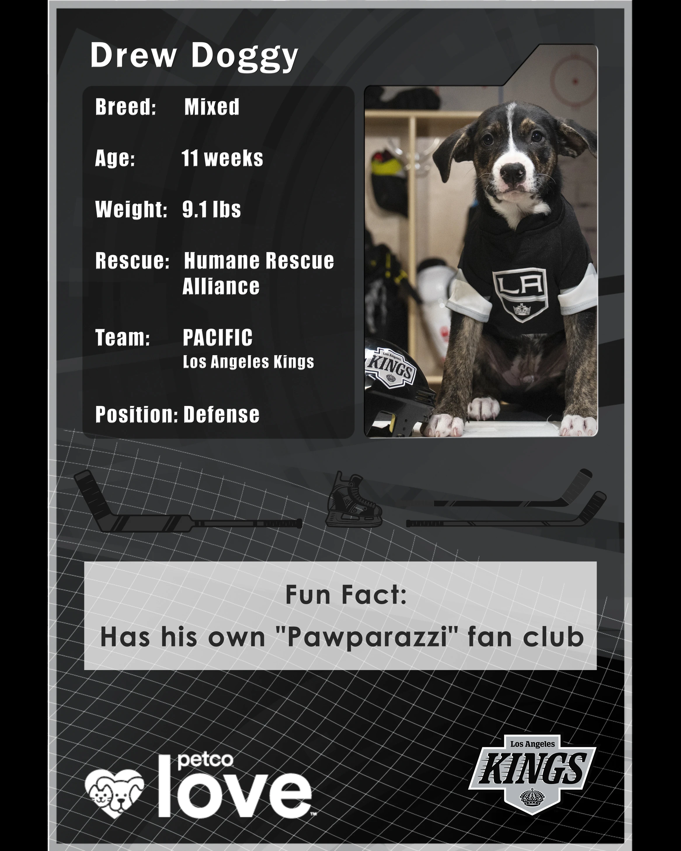 Stanley Pup Howlitzer aka Drew Doggy player card back