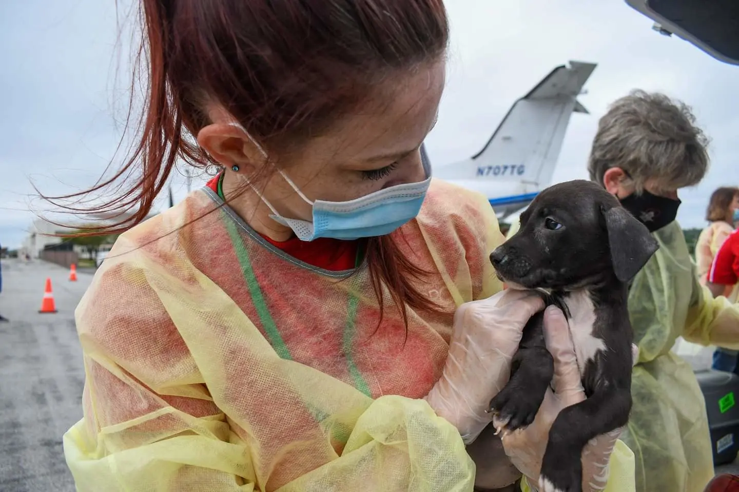 Dog Rescue during Disaster