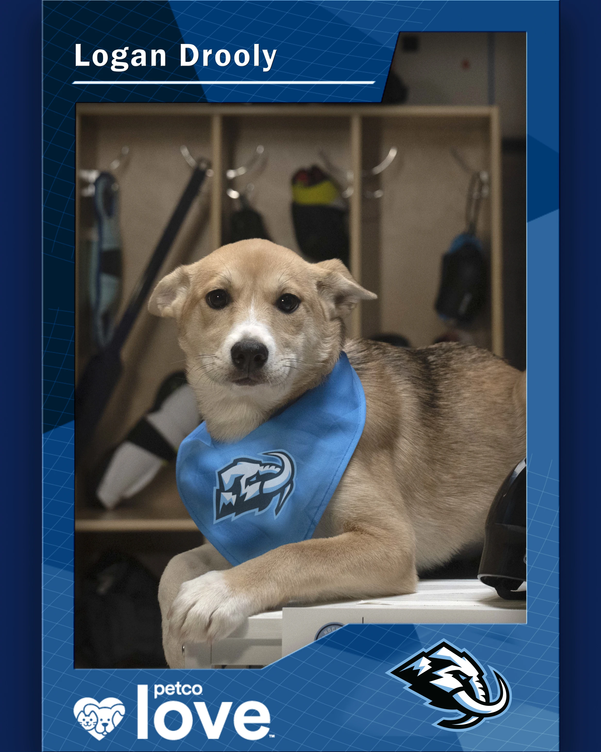 Stanley Pup Stephanie aka Logan Drooly player card front