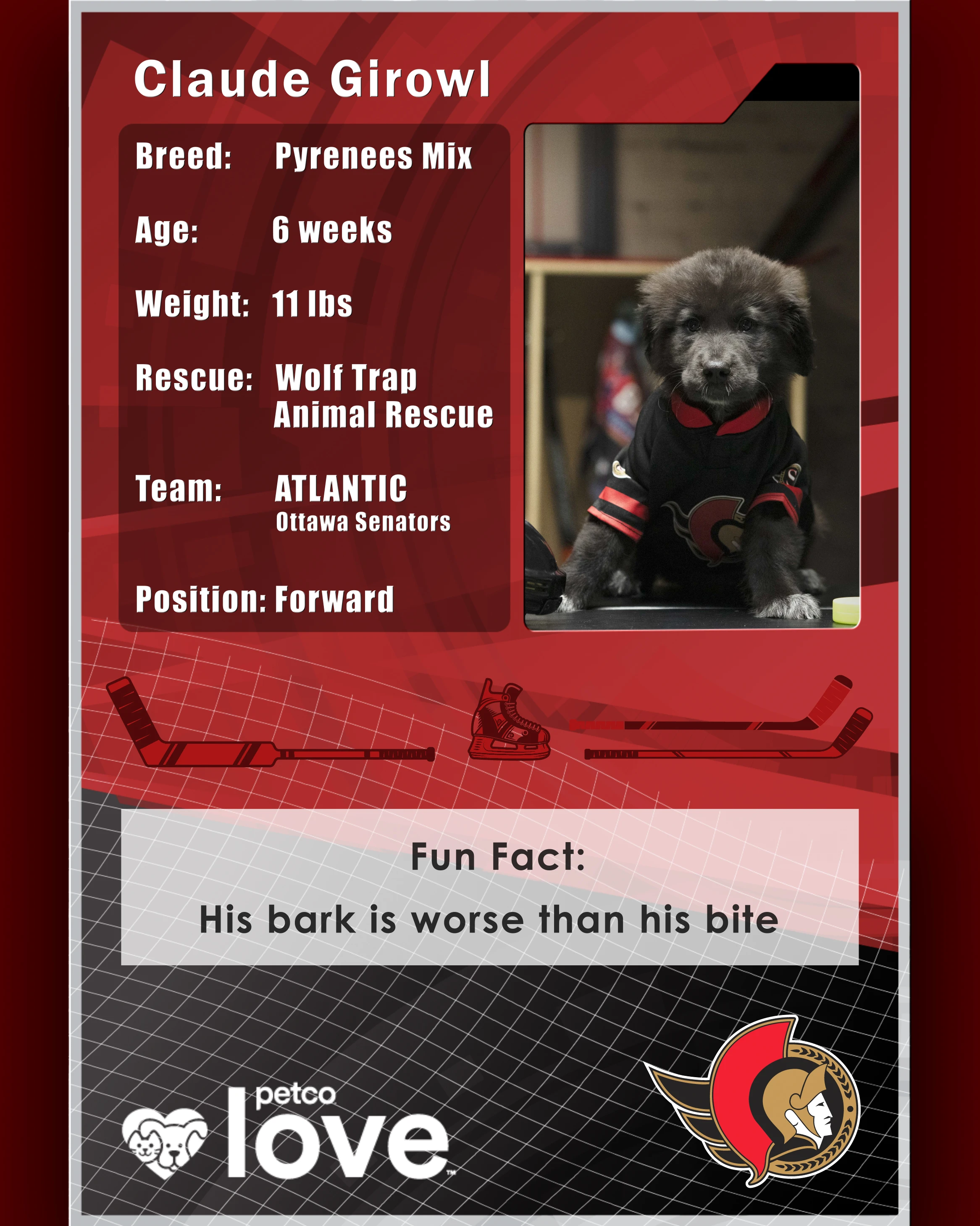 Stanley Pup Cat's In The Cradle aka Claude Girowl player card back