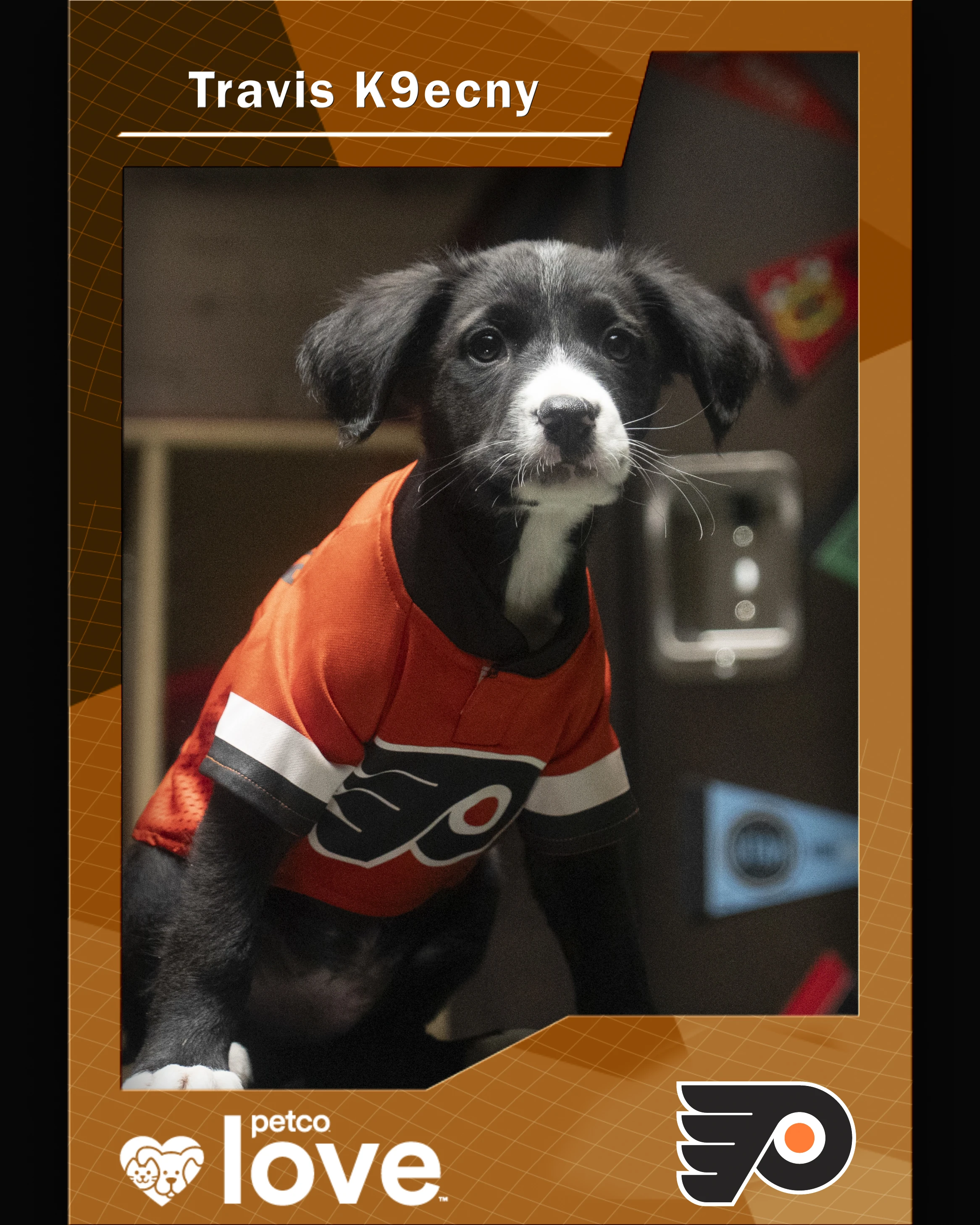 Stanley Pup Magic Tree House aka Travis K9ecny player card front