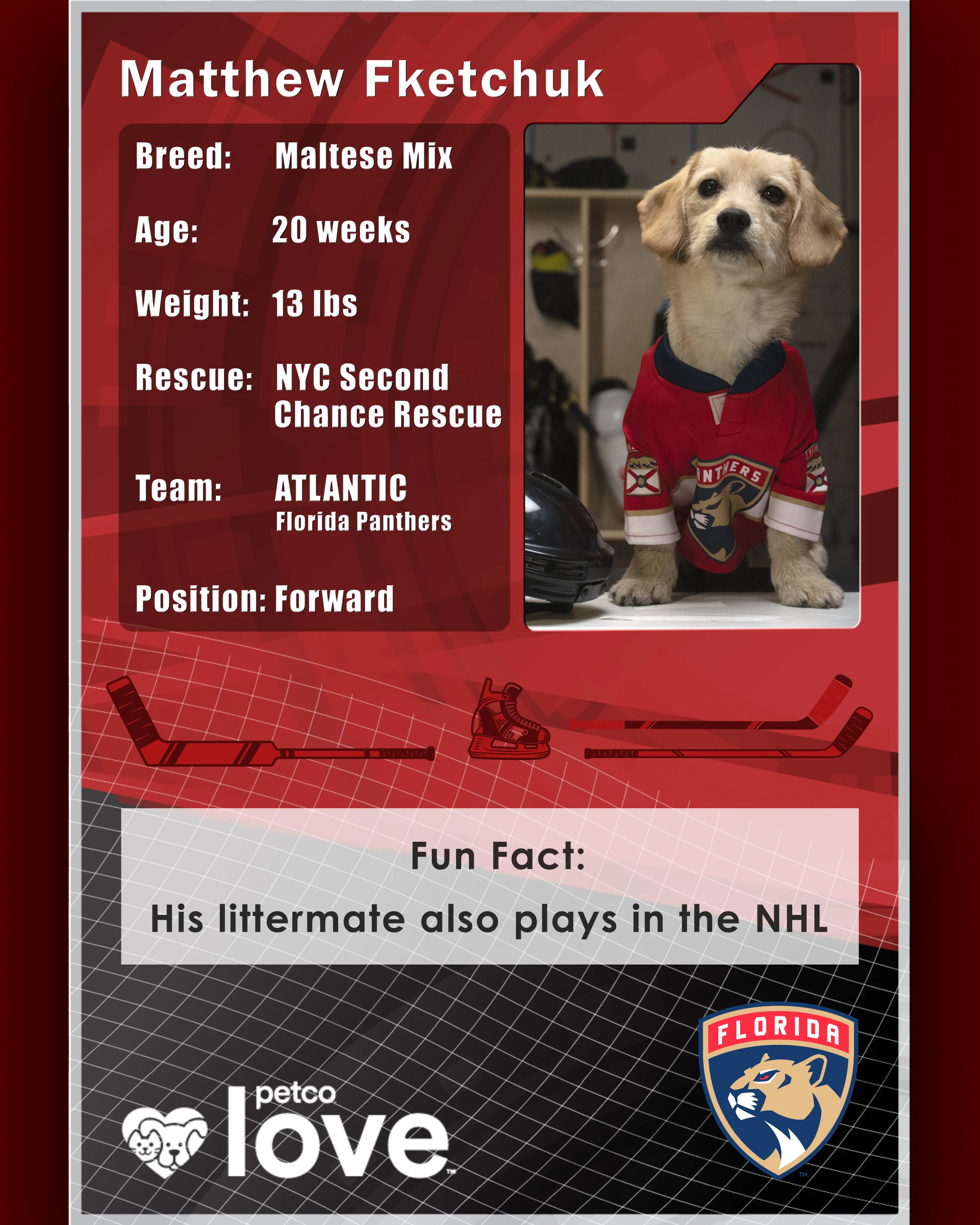 Stanley Pup Macchiato aka Matthew Fketchuk player card back