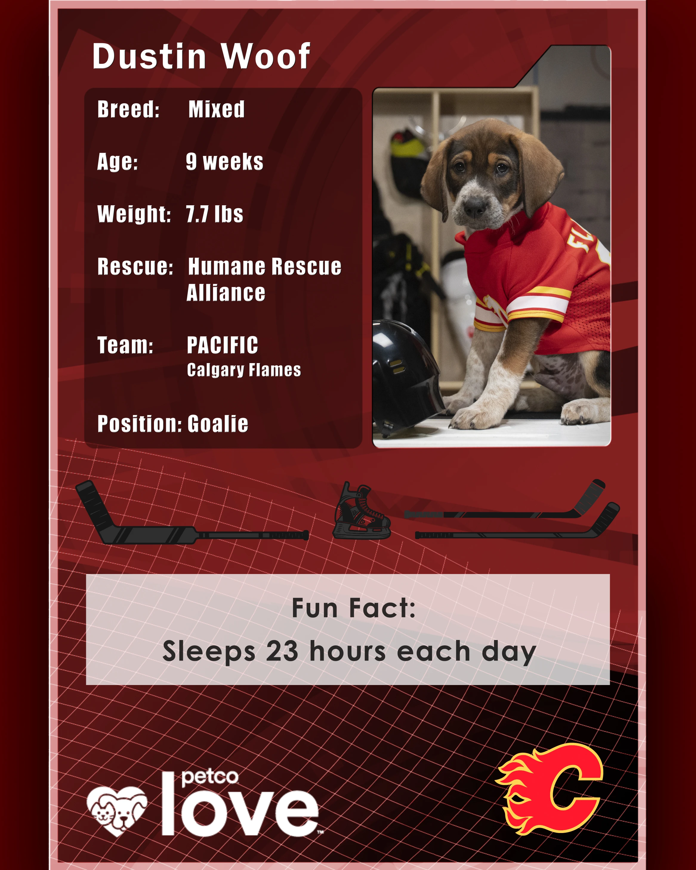 Stanley Pup Boomtown aka Dustin Woof player card back