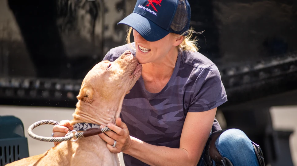 happy dog with owner