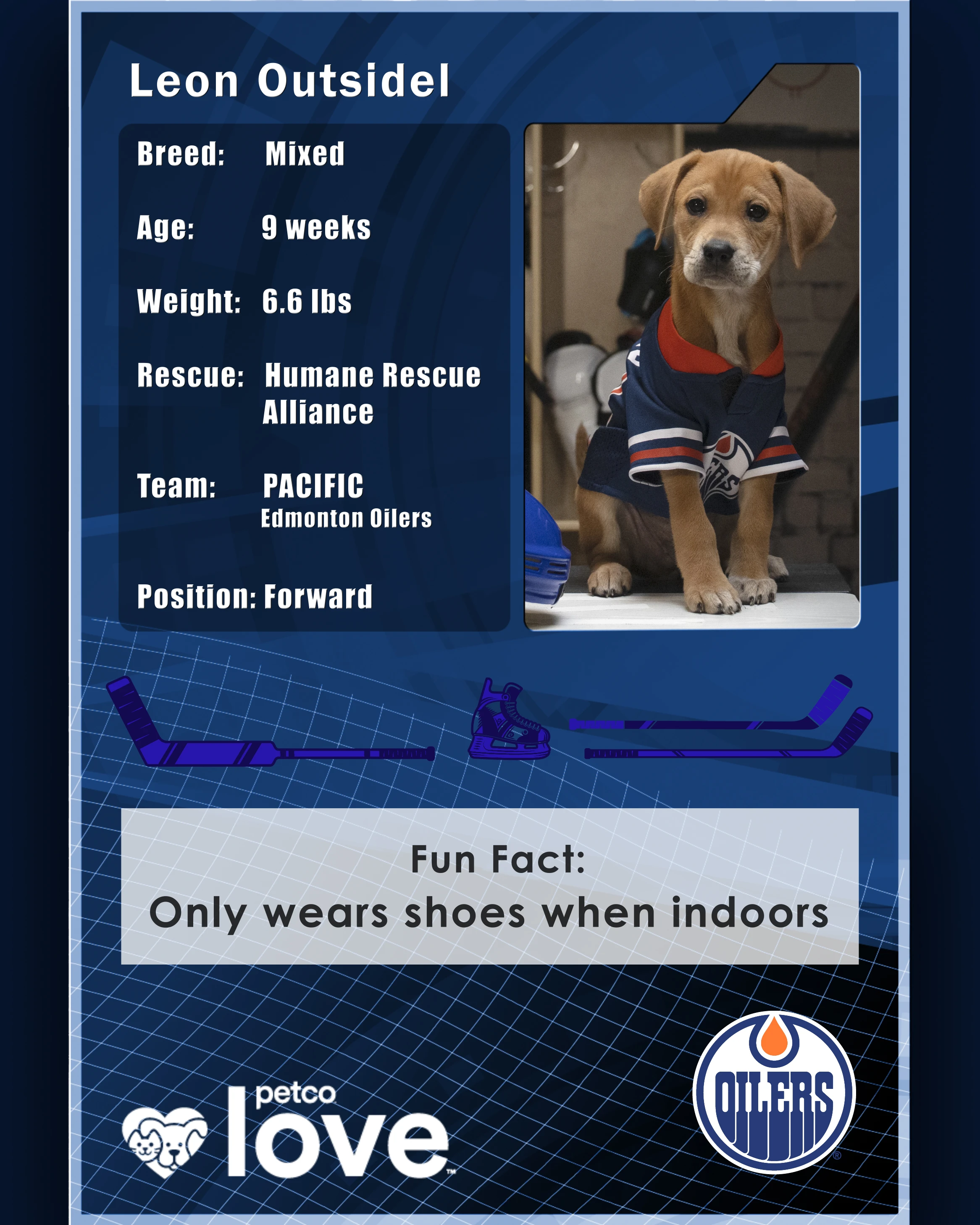 Stanley Pup Ofetchkin aka Leon Outsidel player card back