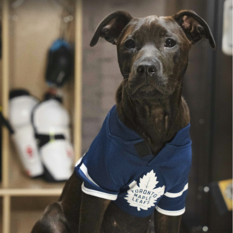 Image of Wiggles aka Morgan Ruffly