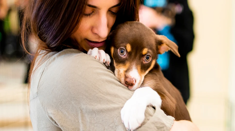 Woman adopting a dog