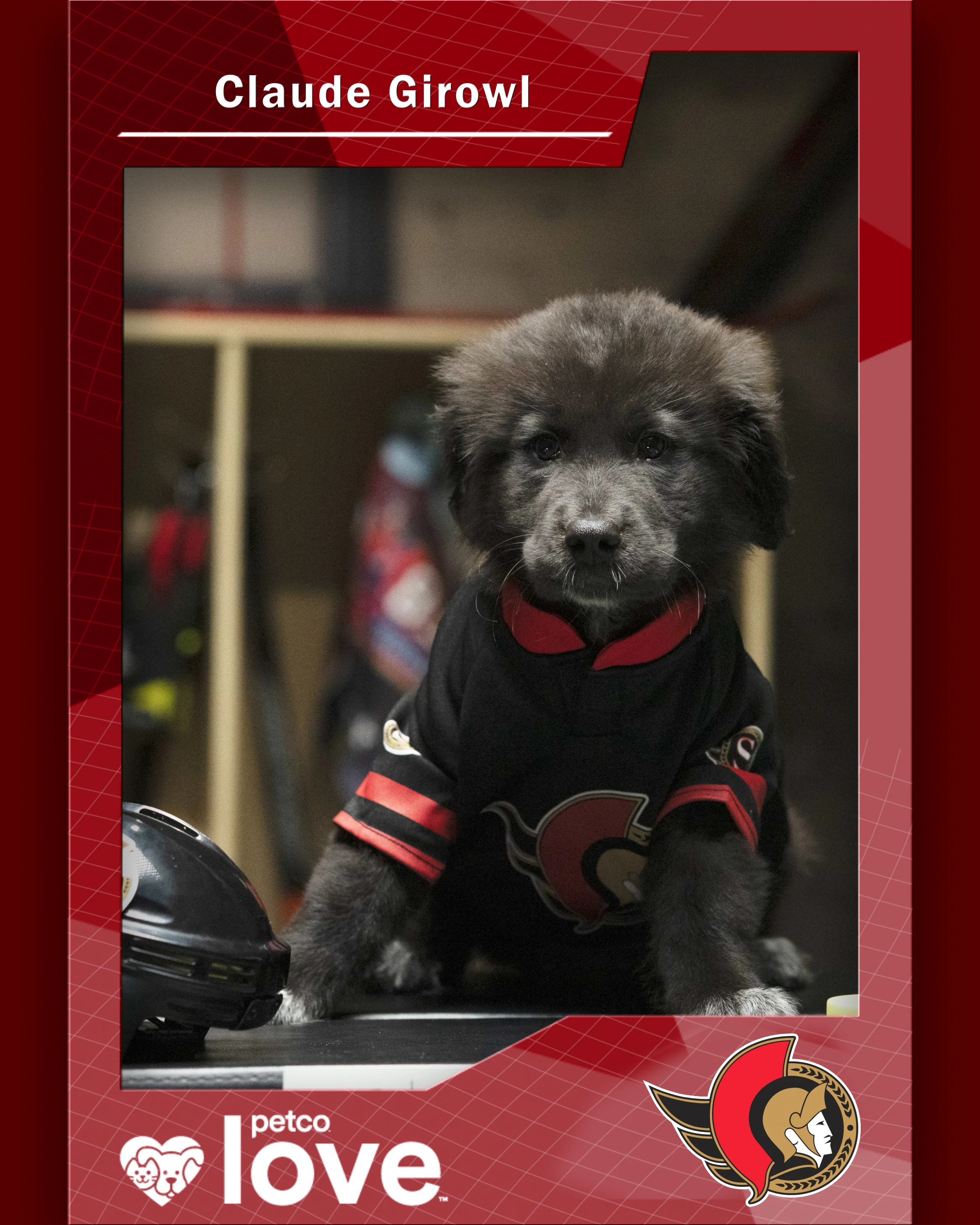 Stanley Pup Cat's In The Cradle aka Claude Girowl player card front