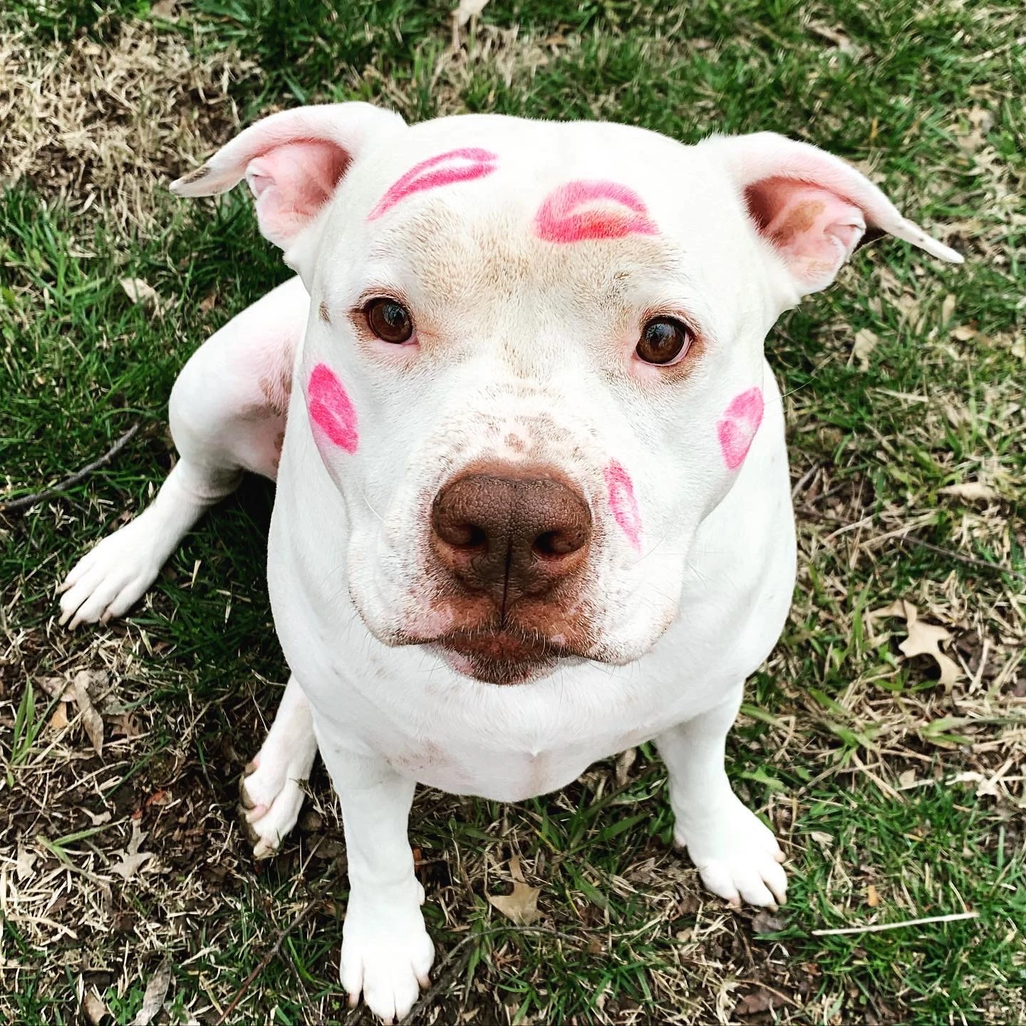 Larry with kisses