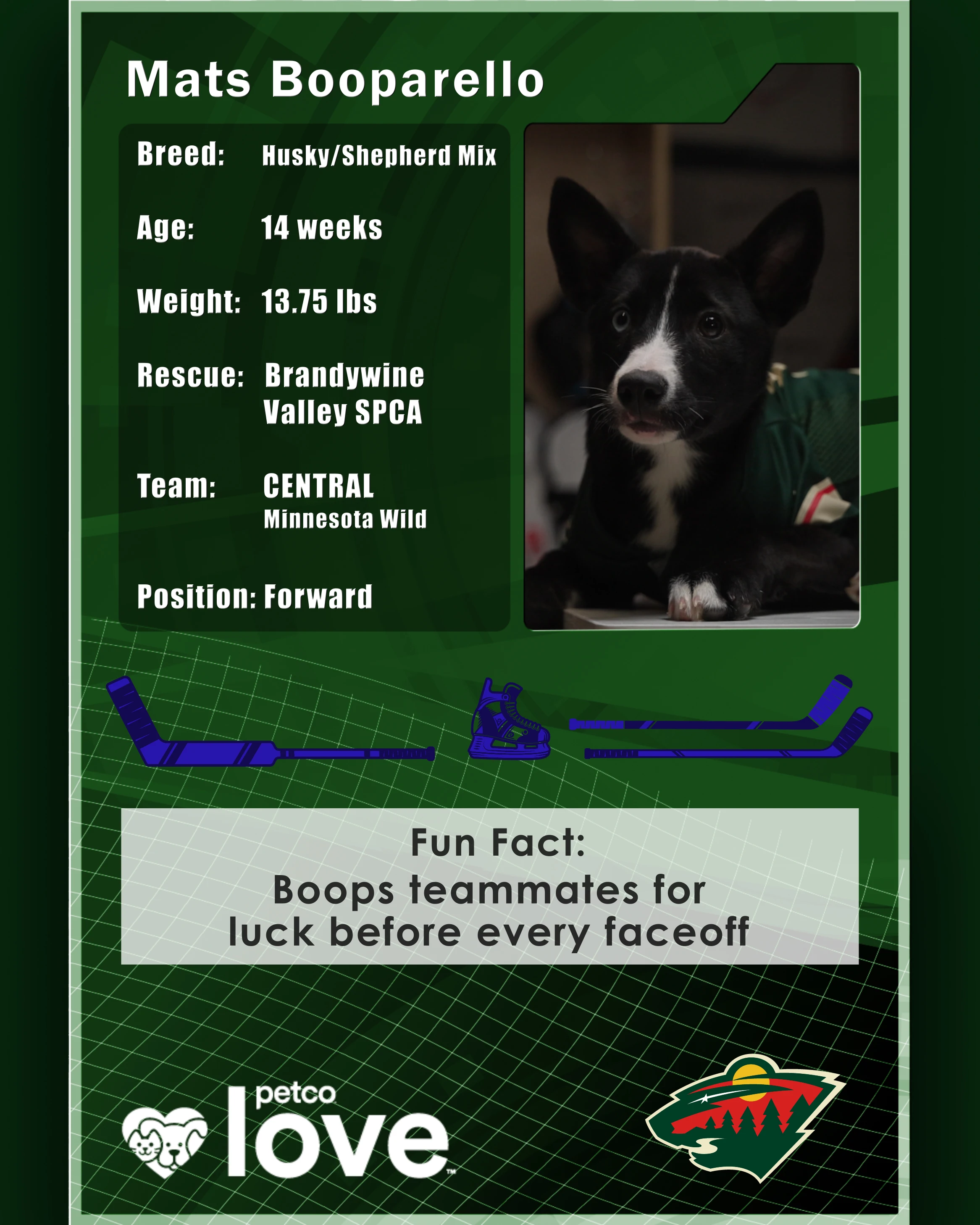 Stanley Pup Michelle aka Mats Booparello player card back