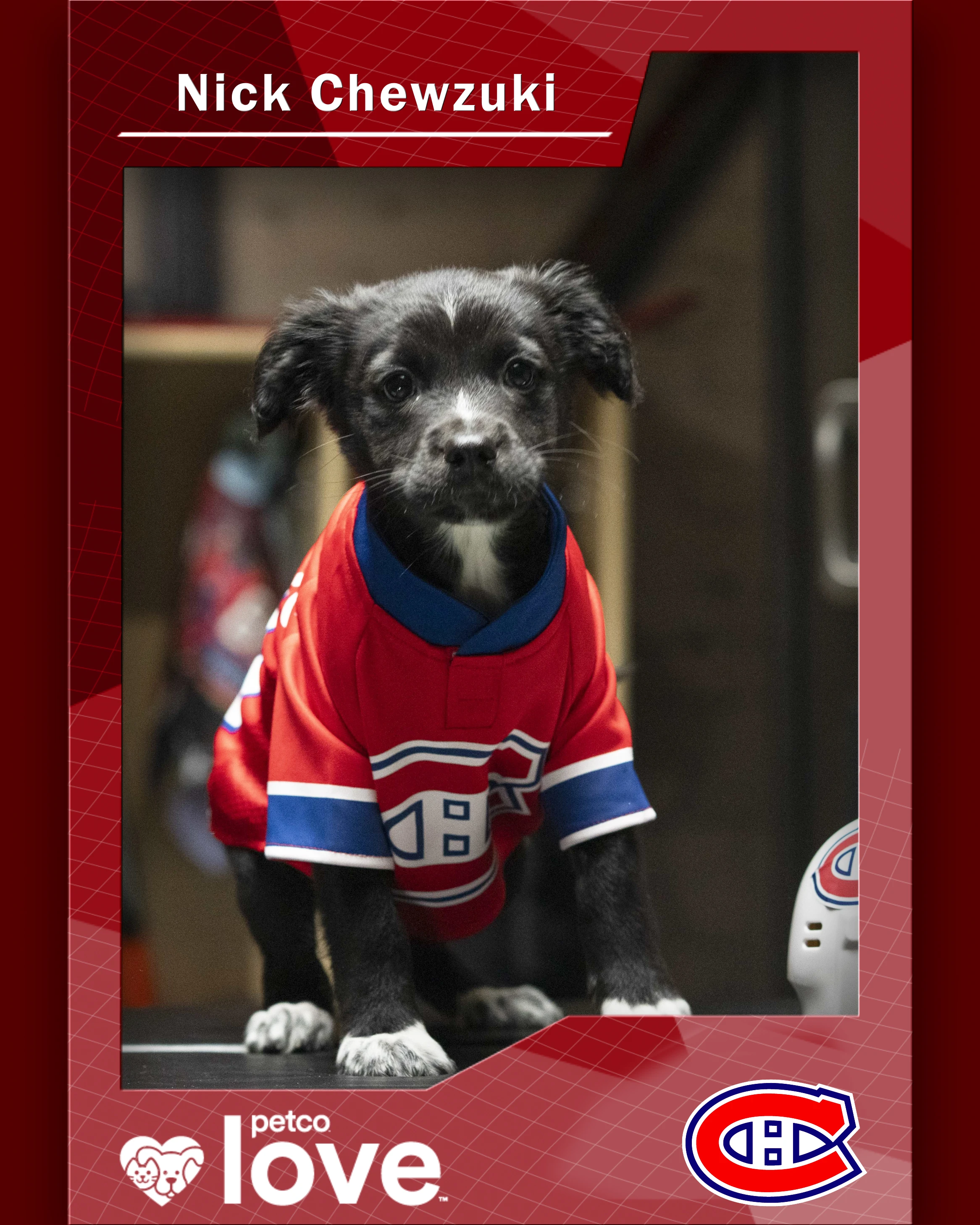 Stanley Pup Make Way For Ducklings aka Nick Chewzuki player card front