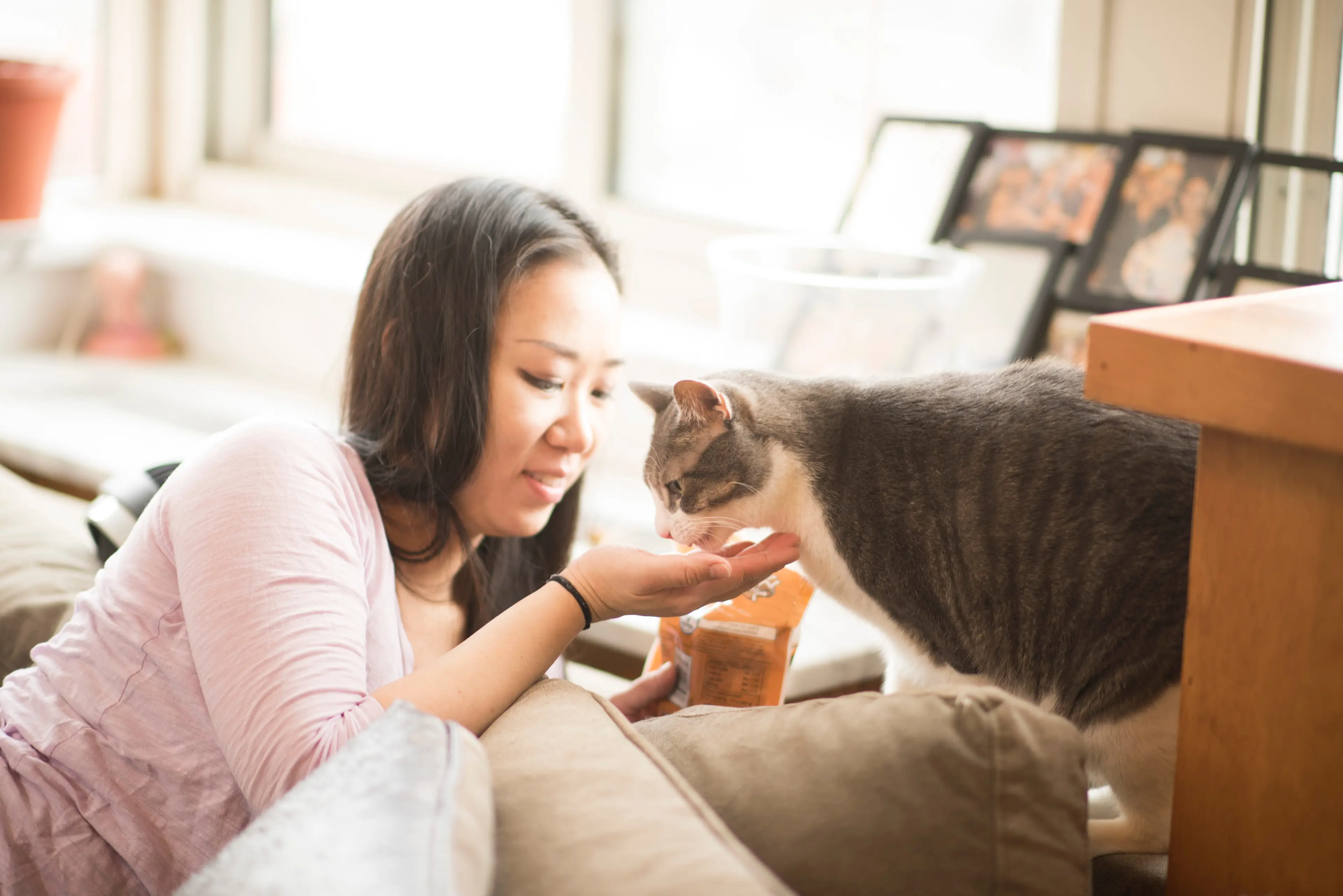Image of Tips for the Perfect Foster Pet Bio