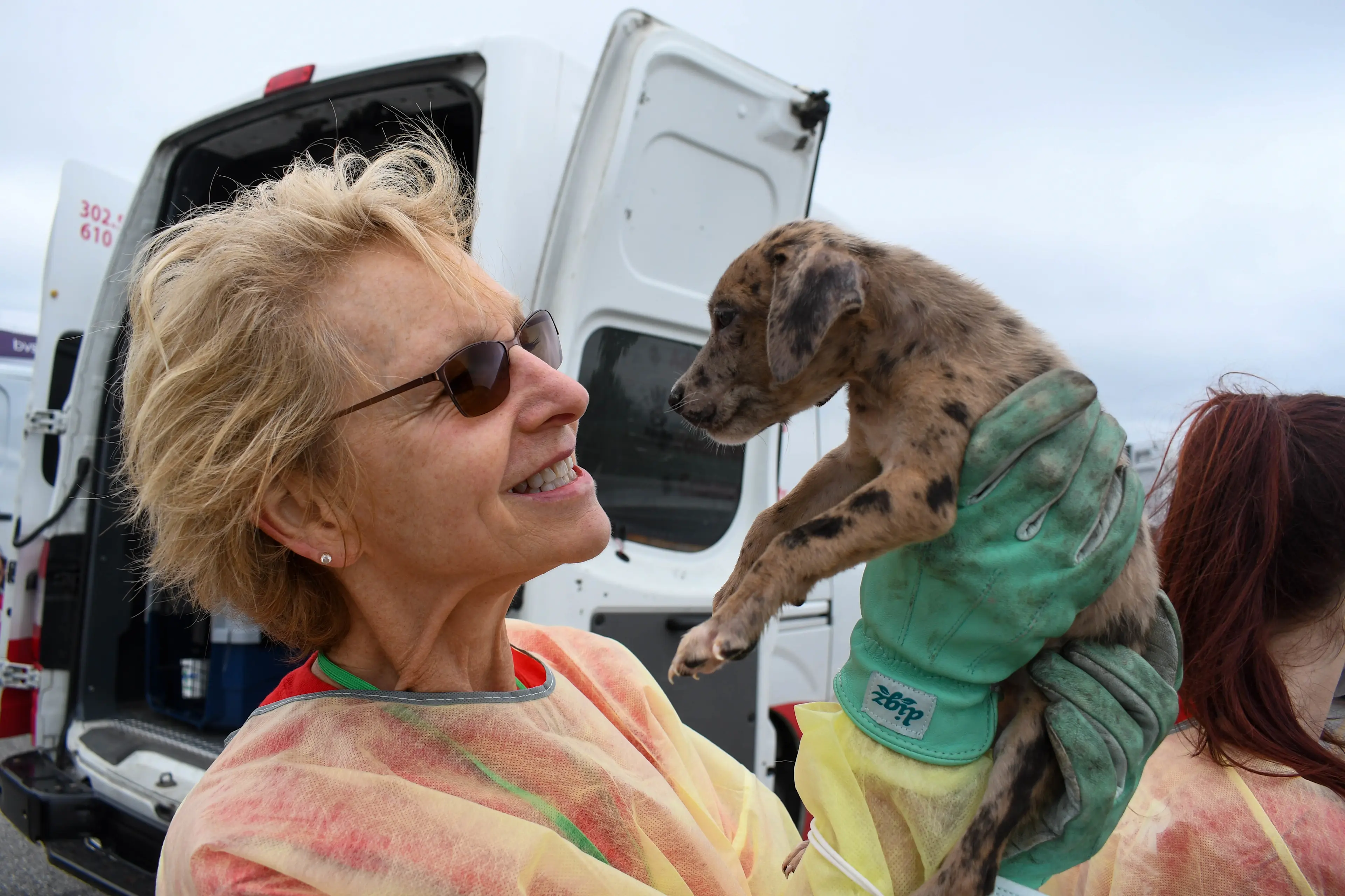 Dog Rescue_disaster 1